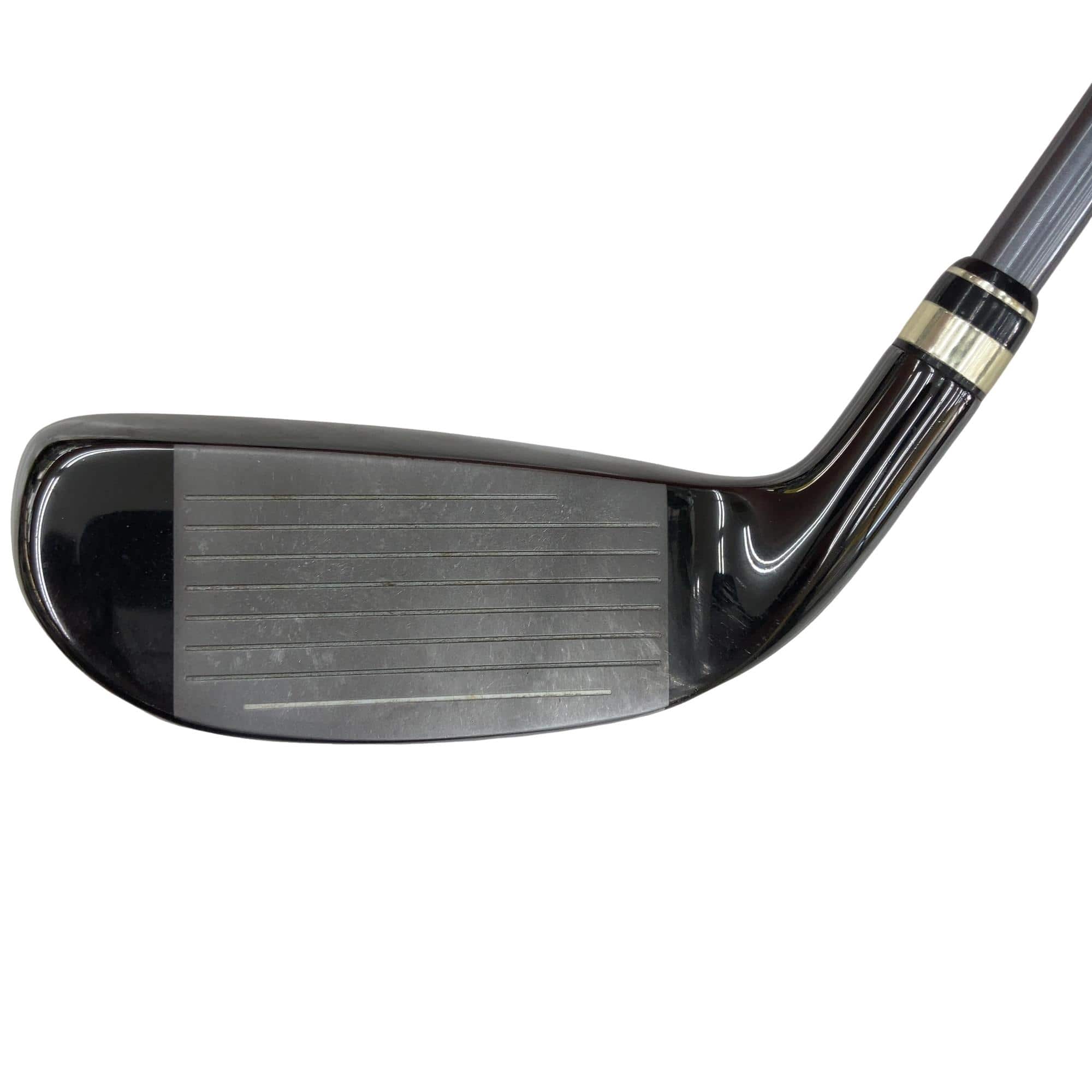 �������@���{�@�t�T�{�@���f�B�[�X