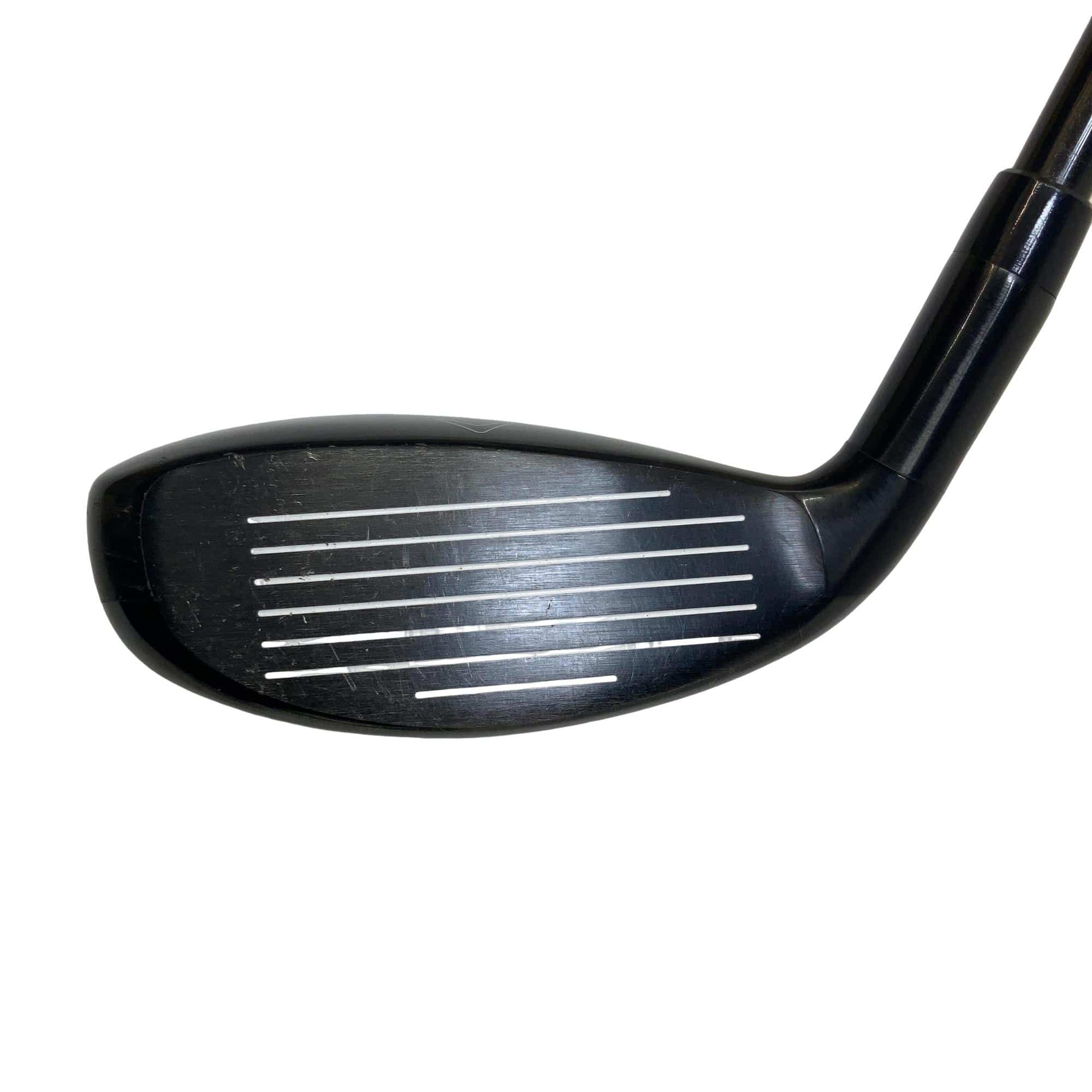 �w�Q�@�g�n�s�@�t�S