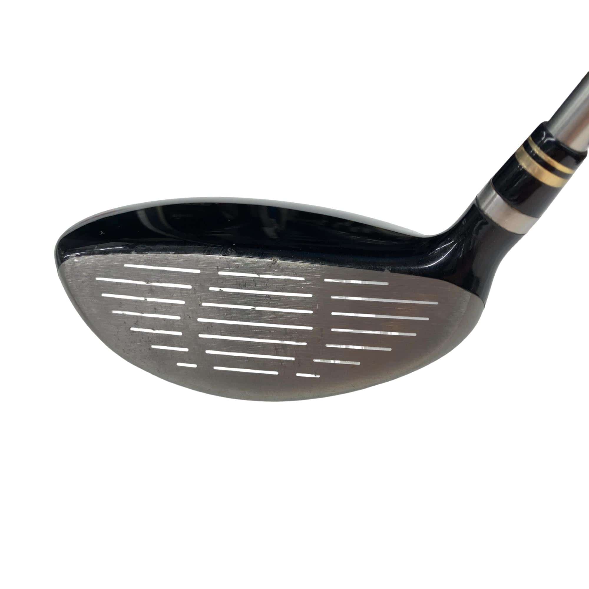 �q���������@���[�e�B���e�B�@�V���o�[�@�T�t�@���f�B�[�X