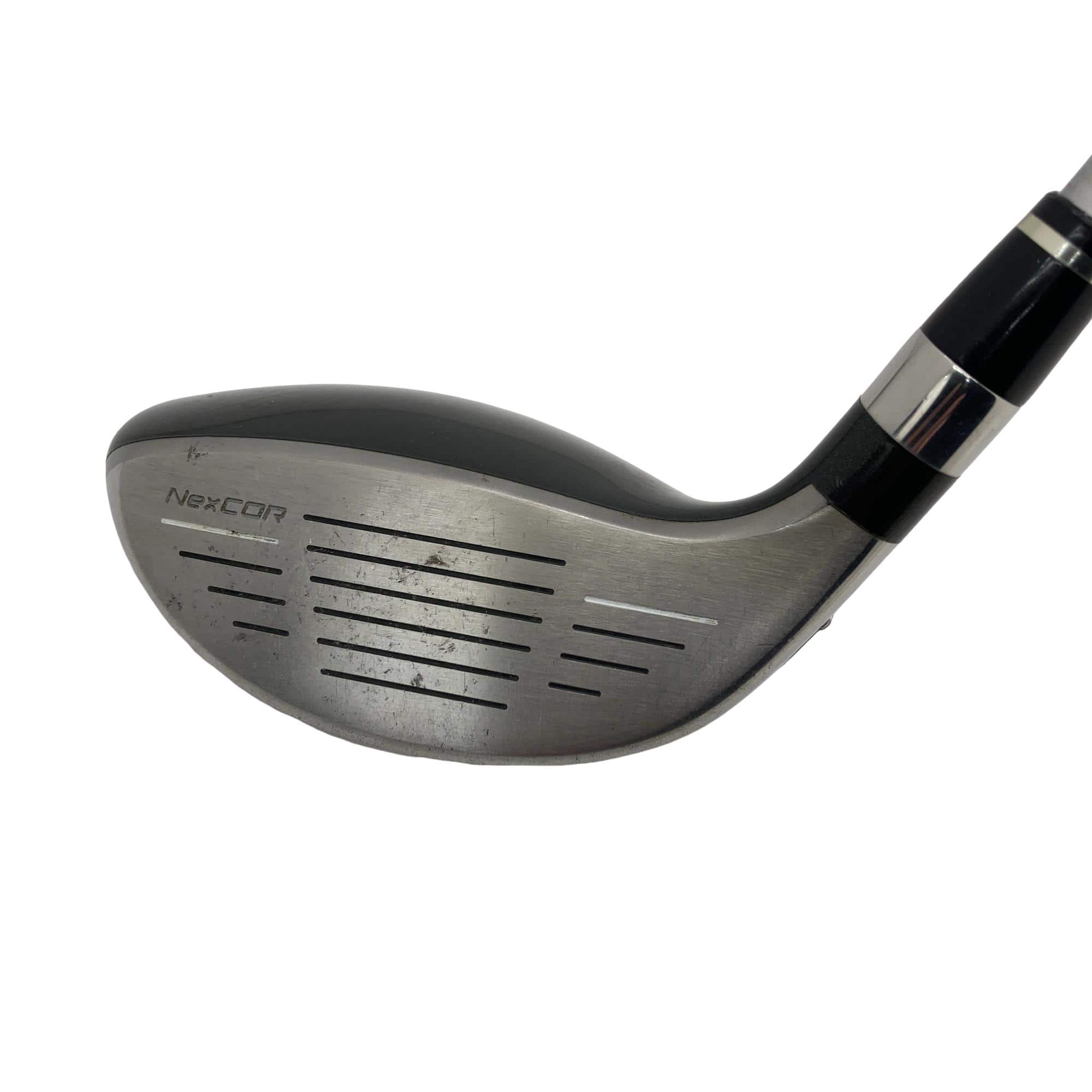 �u�q�Q�r�@���[�e�B���e�B�@�t�S�@�t�r�`