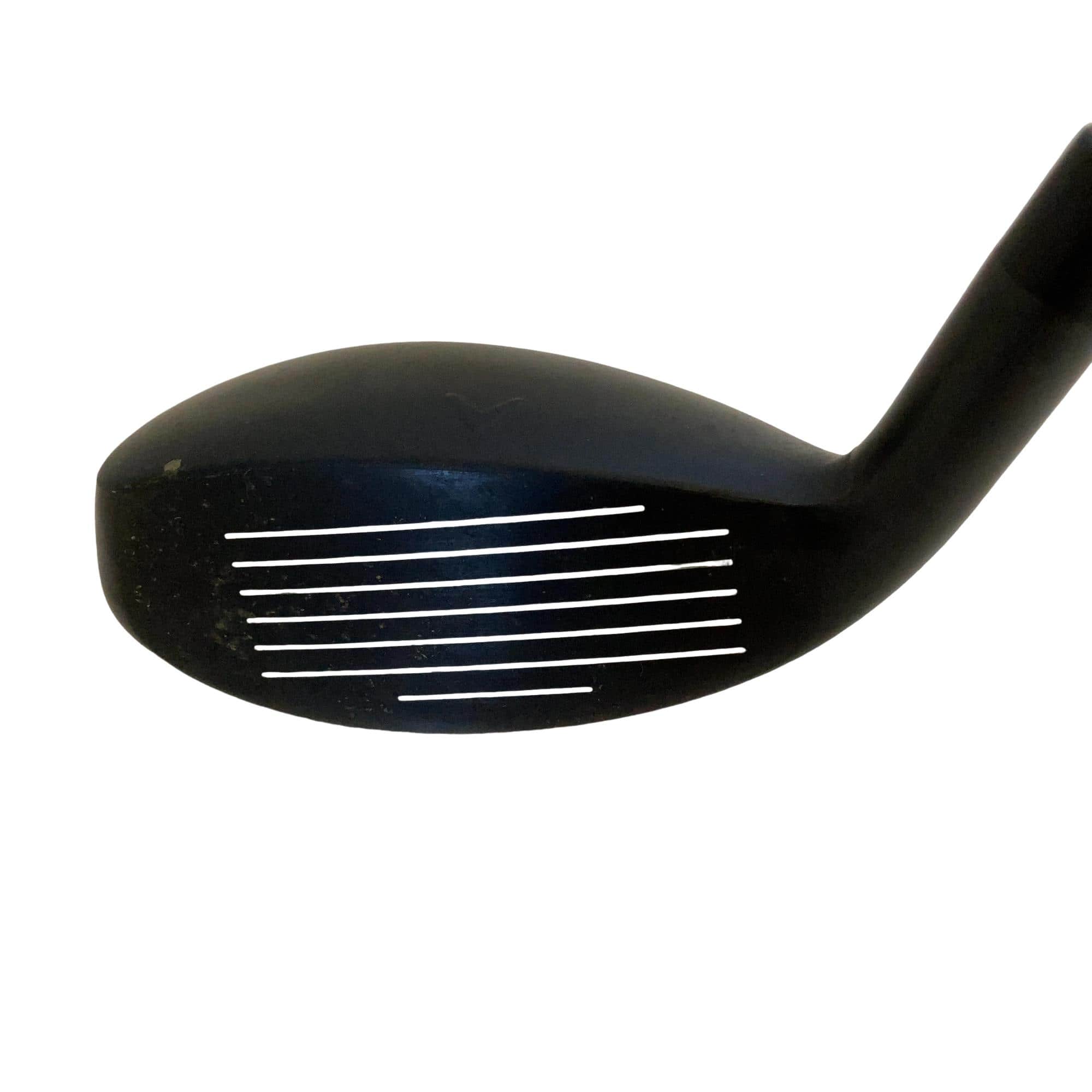 �w�q�@�t�T�@���f�B�[�X