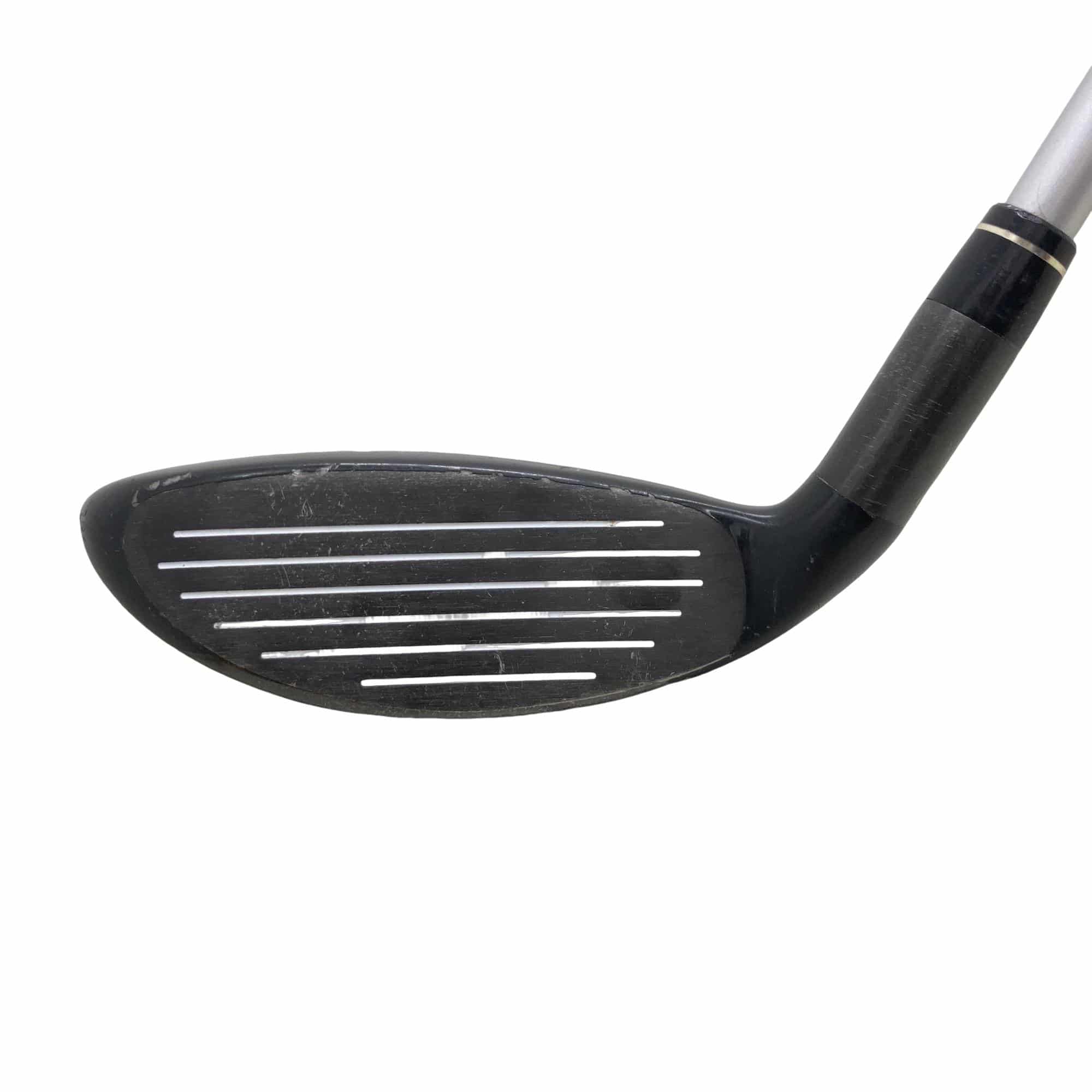 �w�@�g�n�s�@�t�S