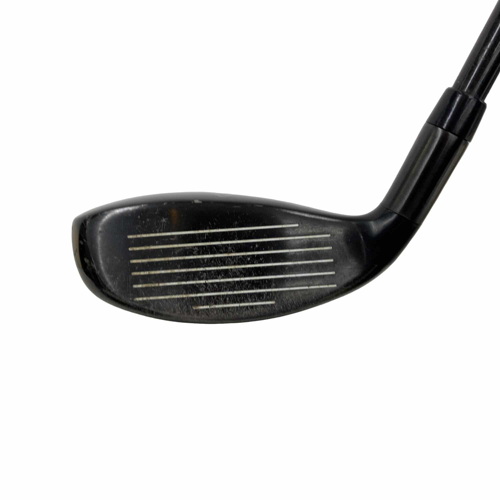 �w�Q�@�g�n�s�@�t�R