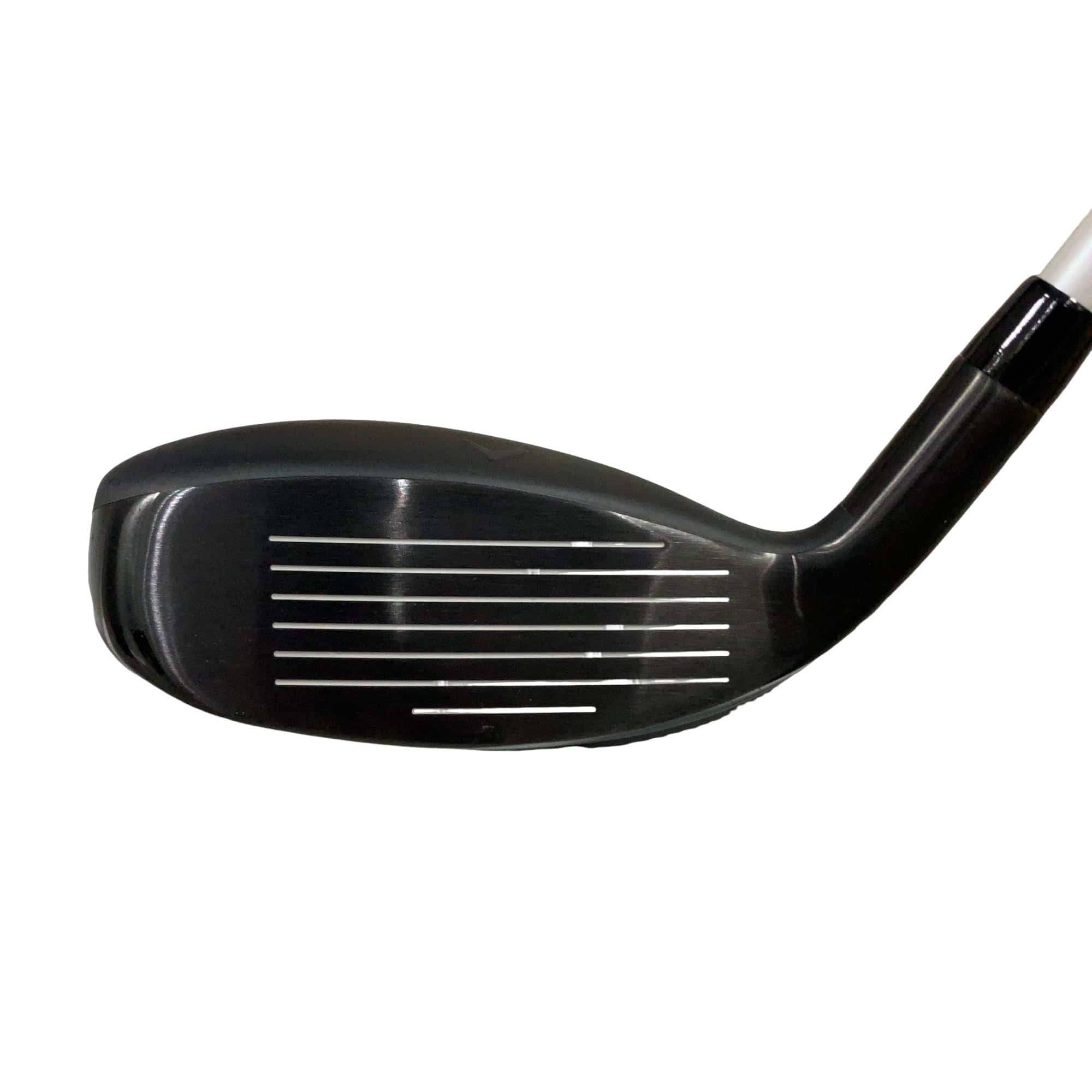 �w�q�@�P�U�@�n�r�@�t�R