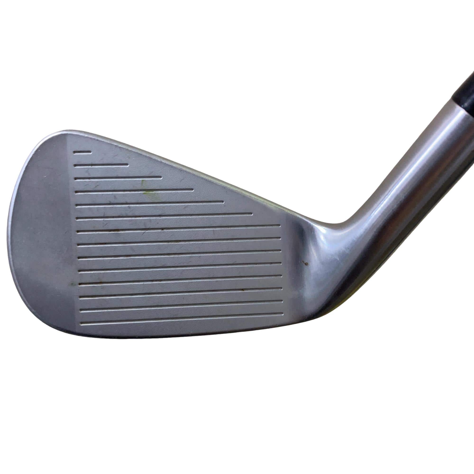 �s�����������@�l�������@�o�E�V�b�a�i�Q�O�Q�S�j�@�T�r�i���{���F�T�{�Z�b�g�j