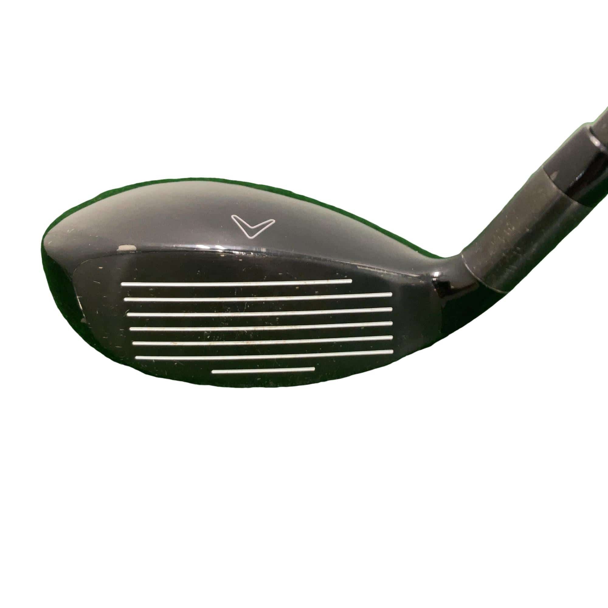 �w�Q�@�g�n�s�@�t�R