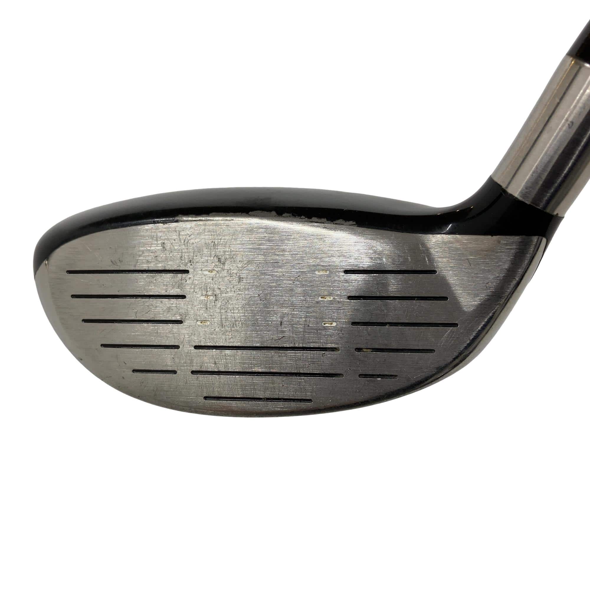 �e�s�@���[�e�B���e�B�@�c�q�`�v�@�R�g