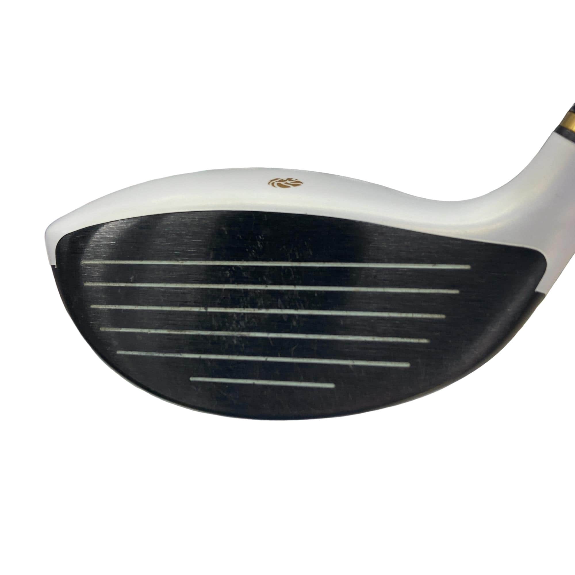 �f�k�n�h�q�d�@�T�v