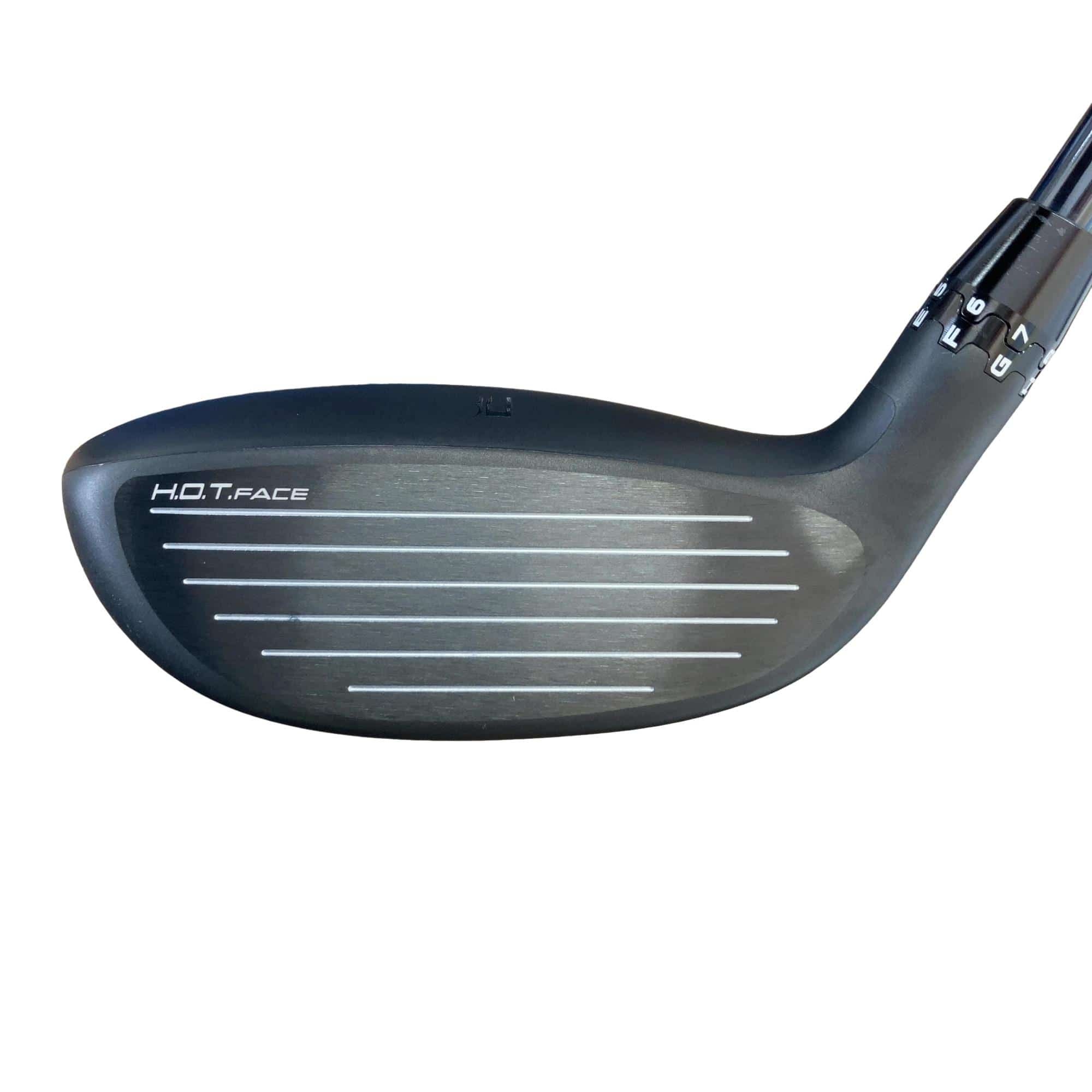 �����������@�c�r�|�`�c�`�o�s�@�S�g