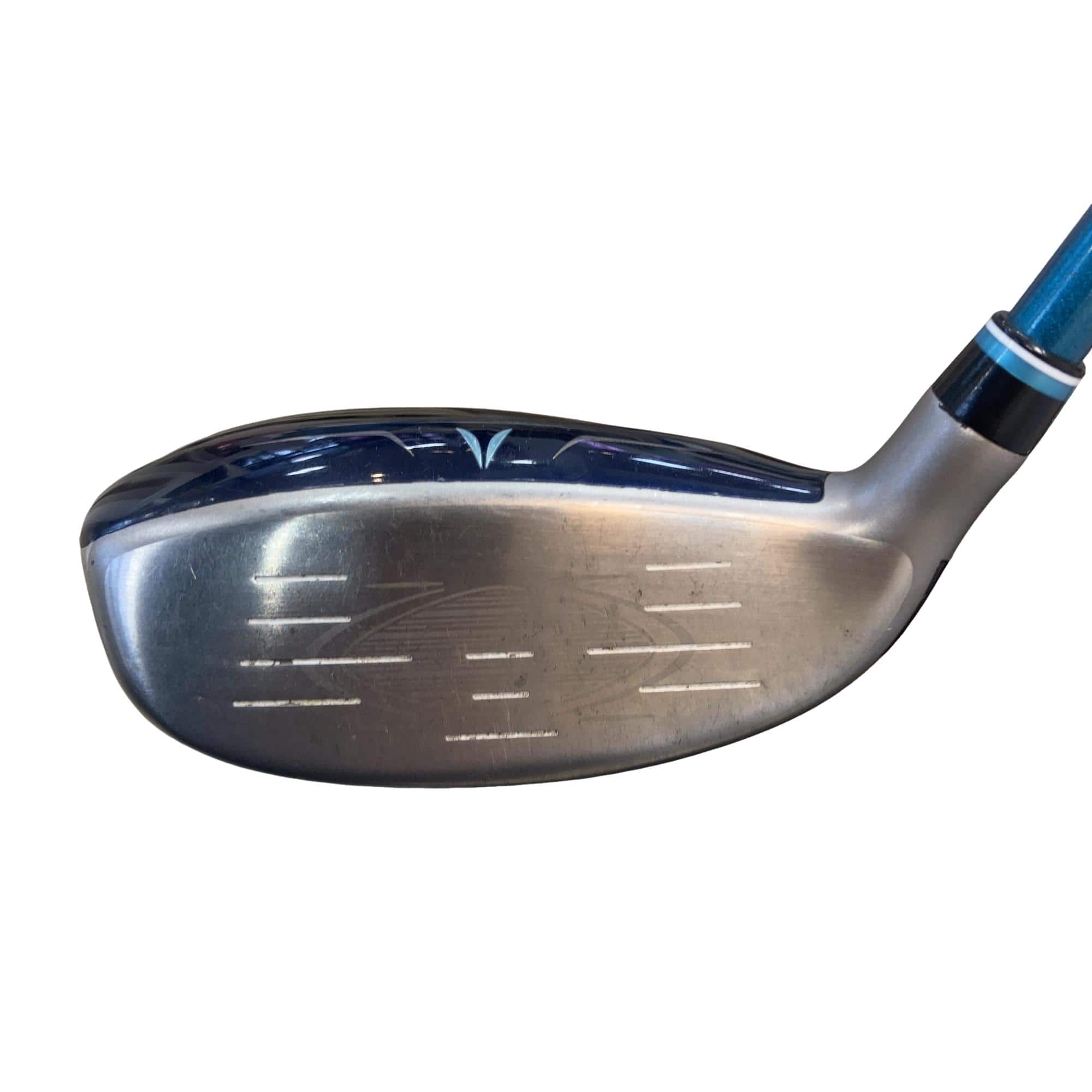 �w�w�h�n�i�Q�O�Q�Q�j�@�g�T�@���f�B�[�X