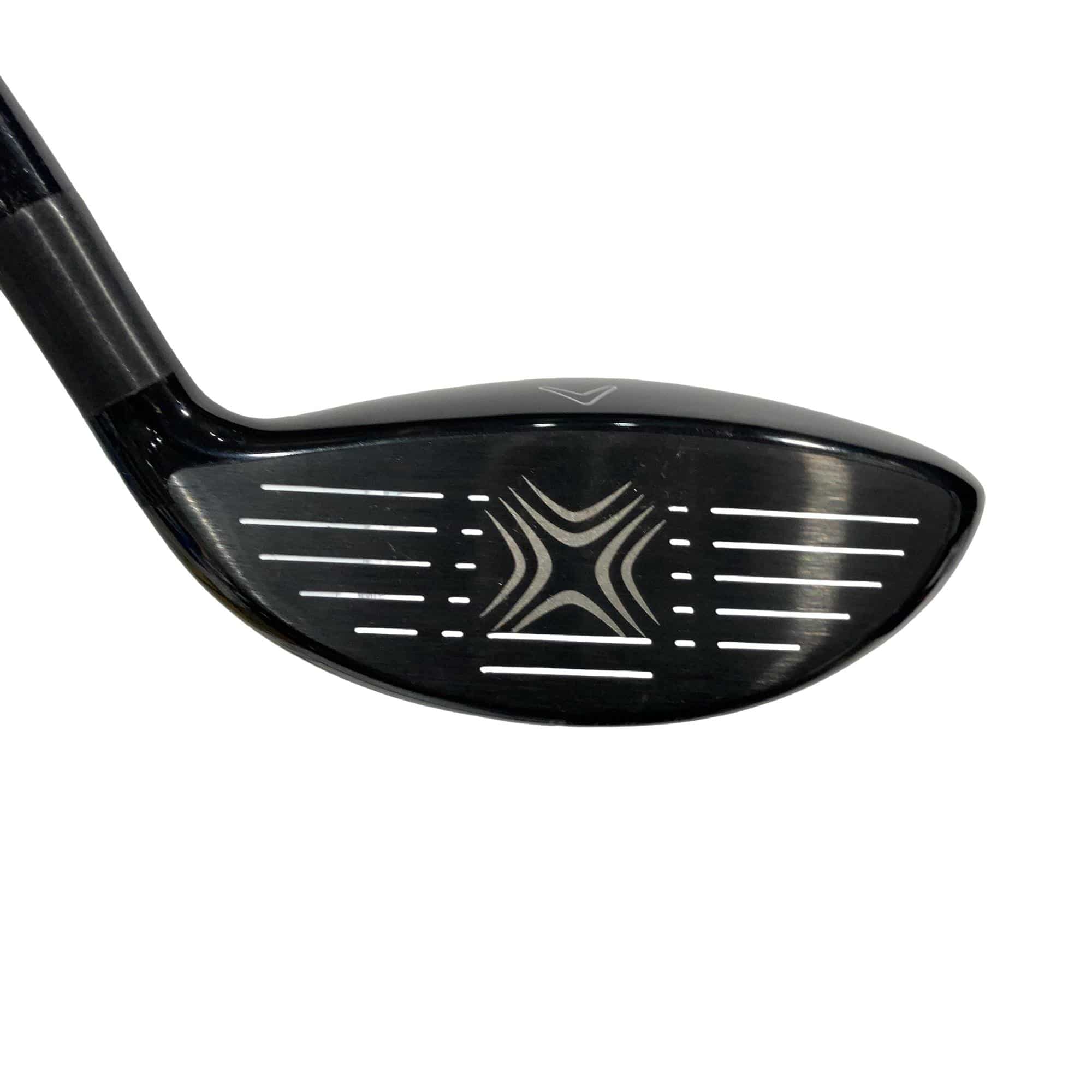 �w�Q�@�g�n�s�@�@�R�v�@���t�e�B