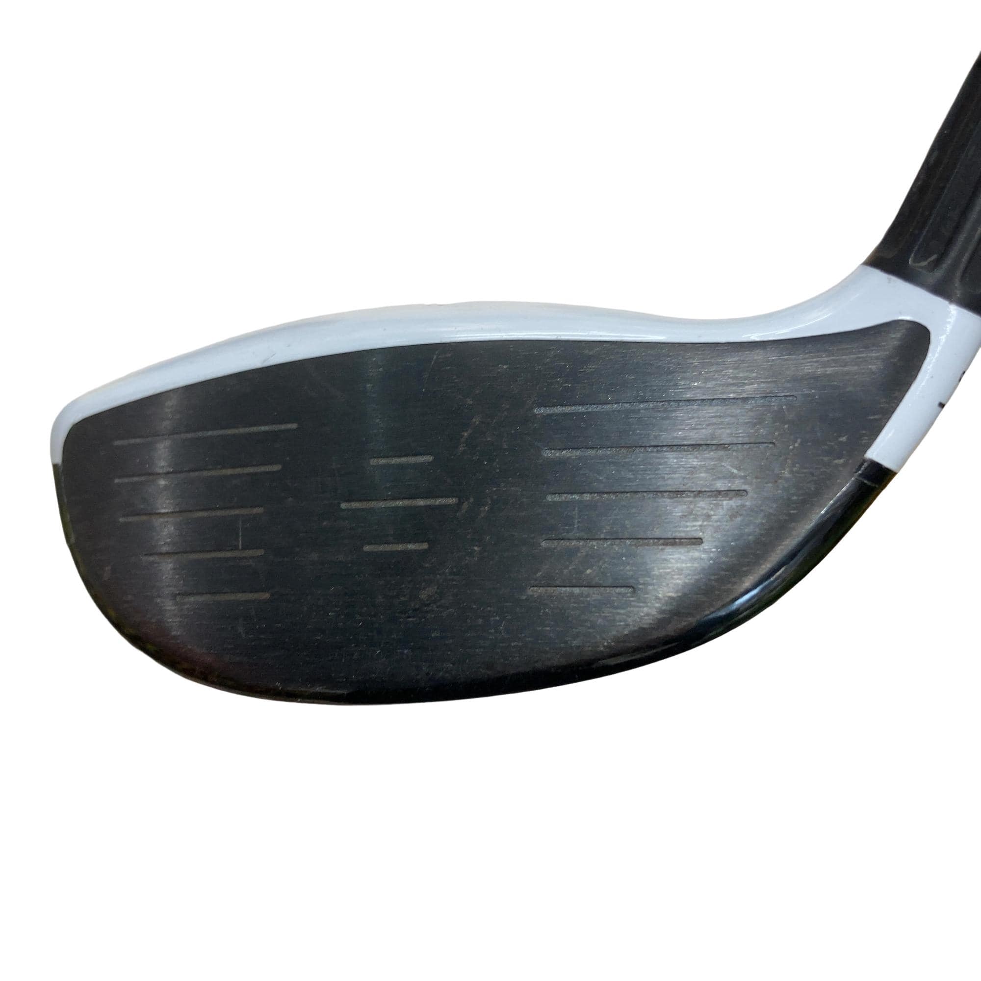 �l�Q�@�T�g�k�@�t�r�`