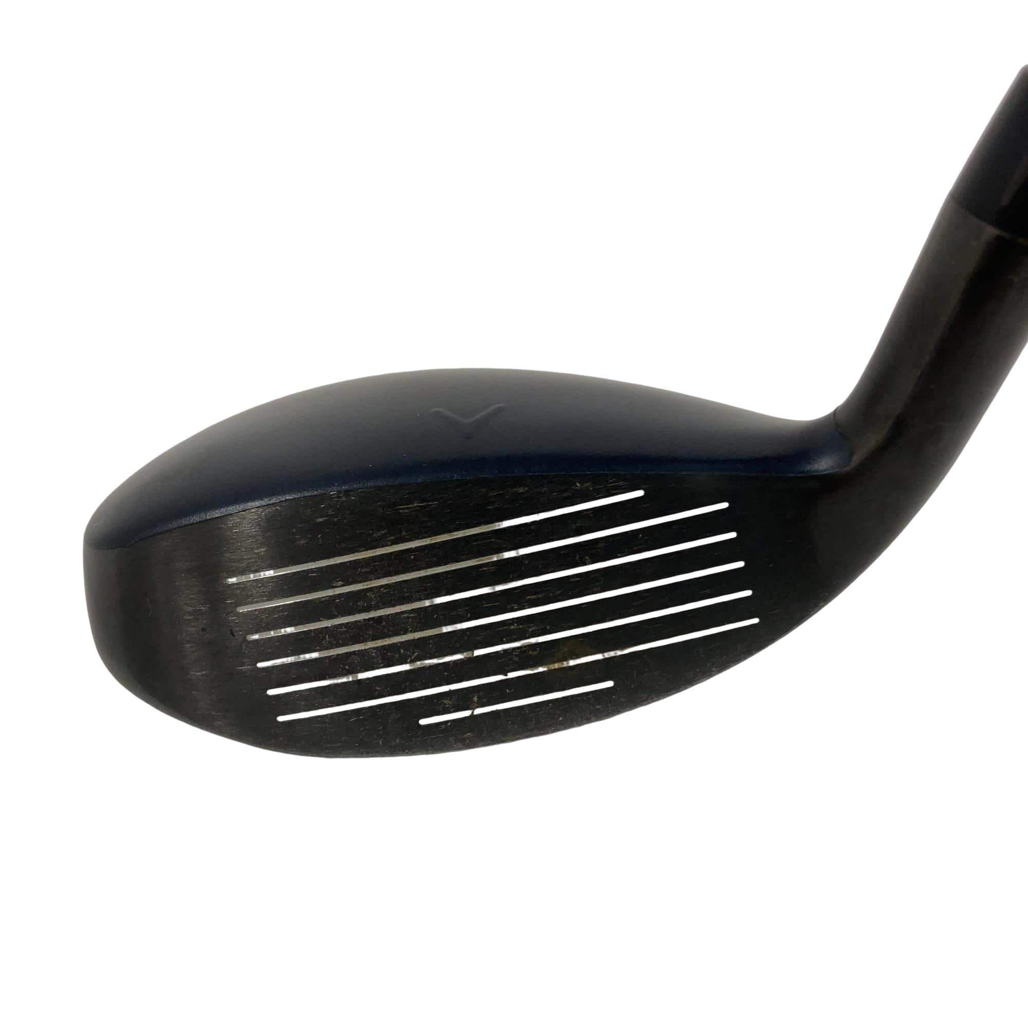 �w�q�@�t�T