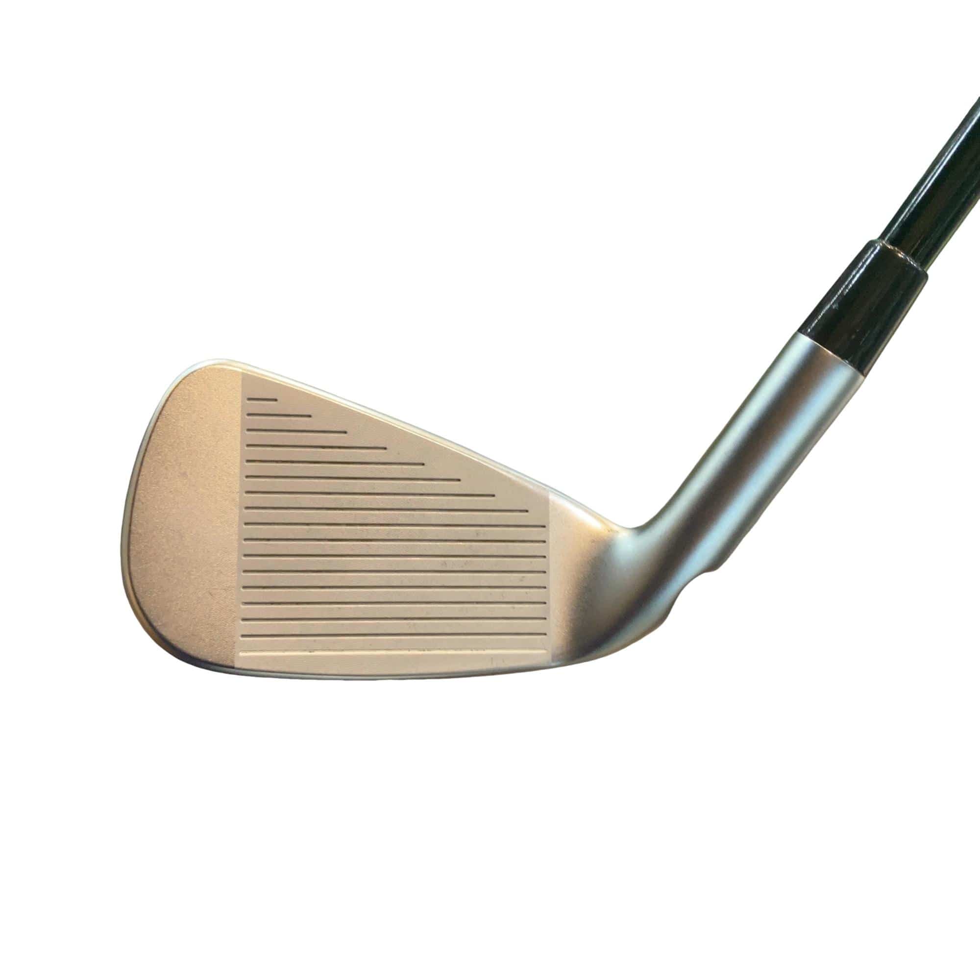 ���Q�R�O�@�V�r�i���{���F�V�{�Z�b�g�j