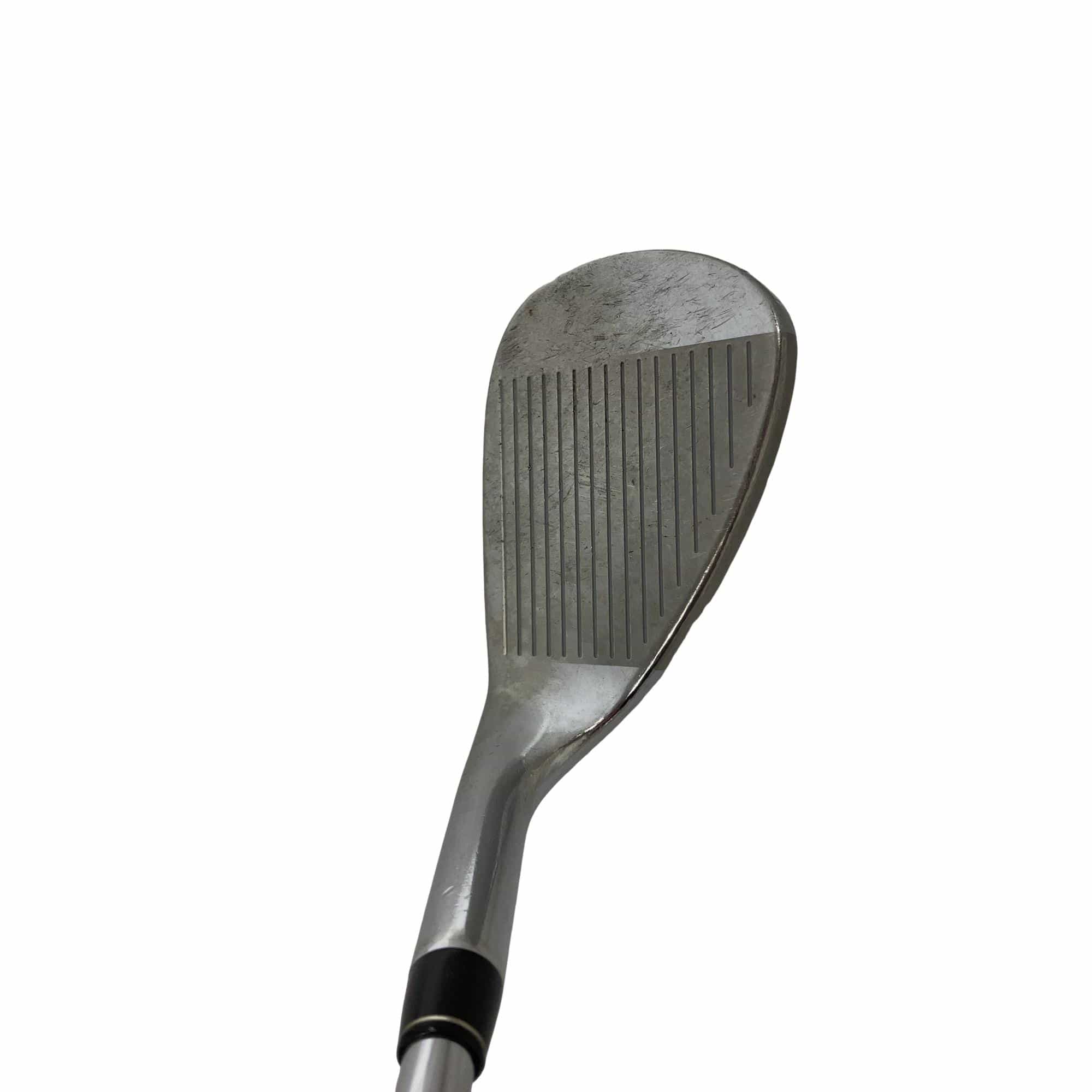 �q�r�@�`�^���t�F�[�X�@�r�v