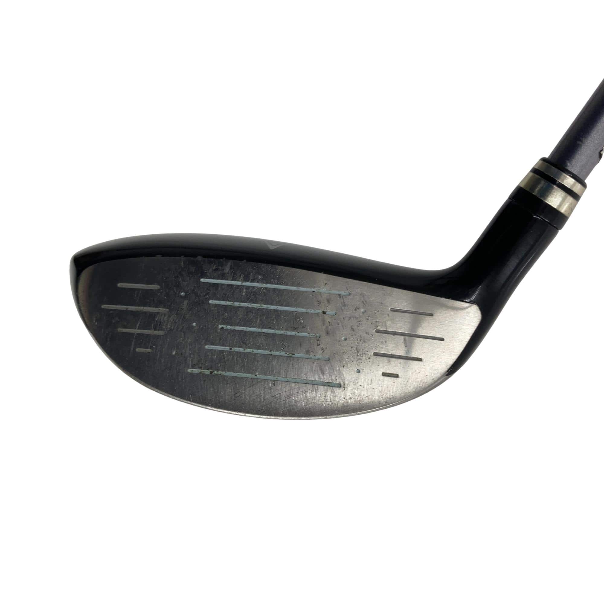 �w�w�h�n�i�Q�O�P�Q�j�@�t�U�@�i�u���[�j�@���f�B�[�X