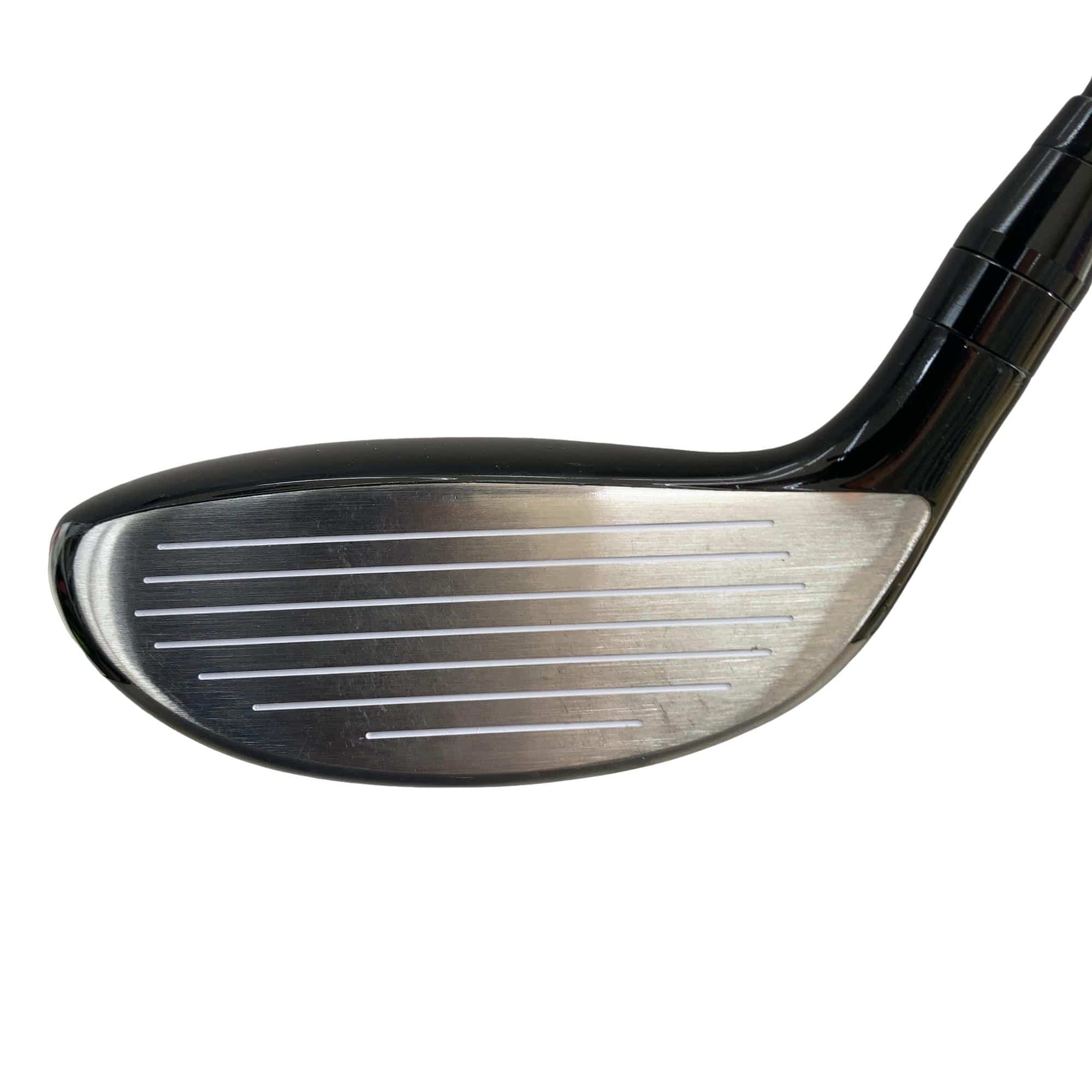 �������������@�q�l�w�@�t�S�{