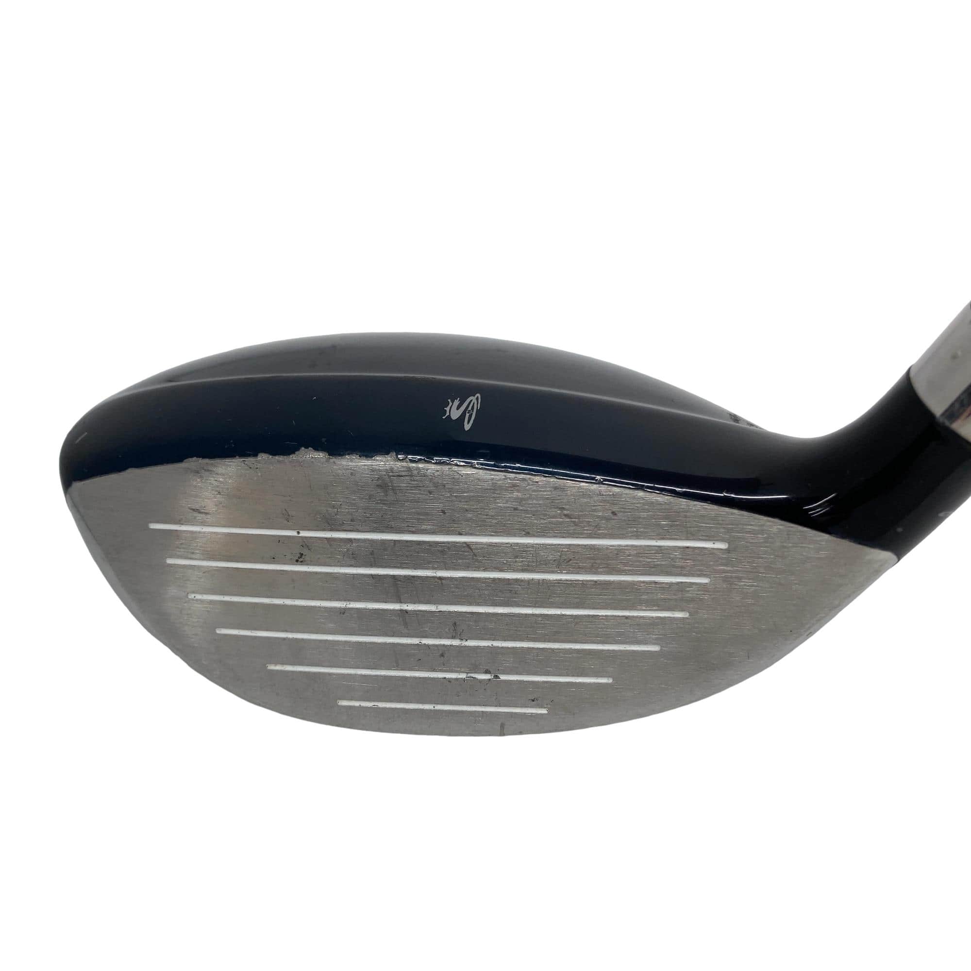 �a�������������@�w�k�@�T�g�@�t�r�`