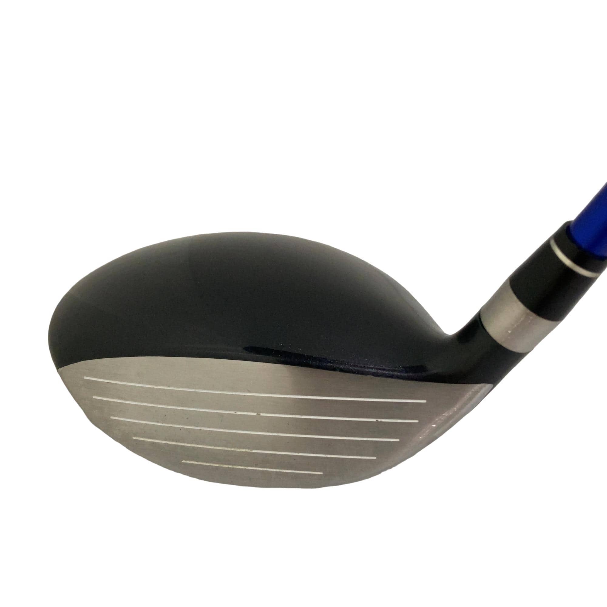 �s�n�t�q�@�v�n�q�k�c�@�s�v�V�S�V�@�R�g�k