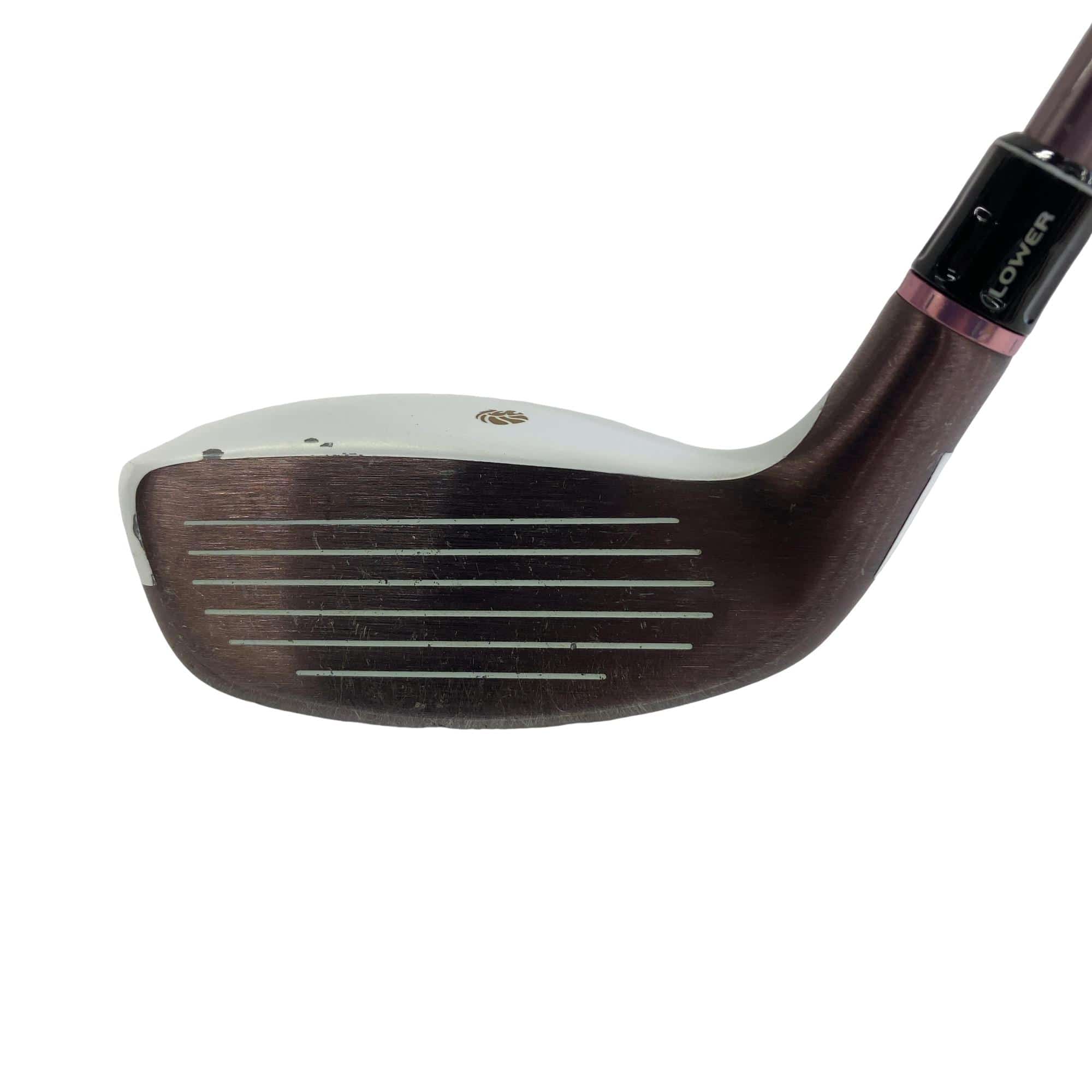 �f�k�n�h�q�d�@���[�e�B���e�B�@�t�S�@���f�B�[�X