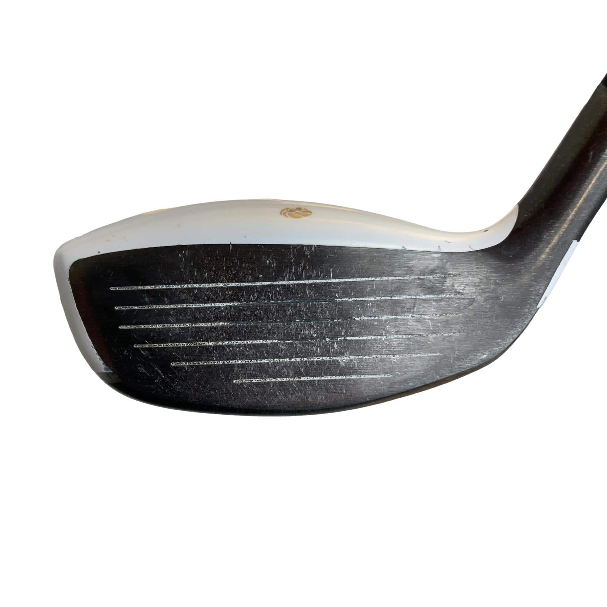 �f�k�n�h�q�d�@�e�@�t�T