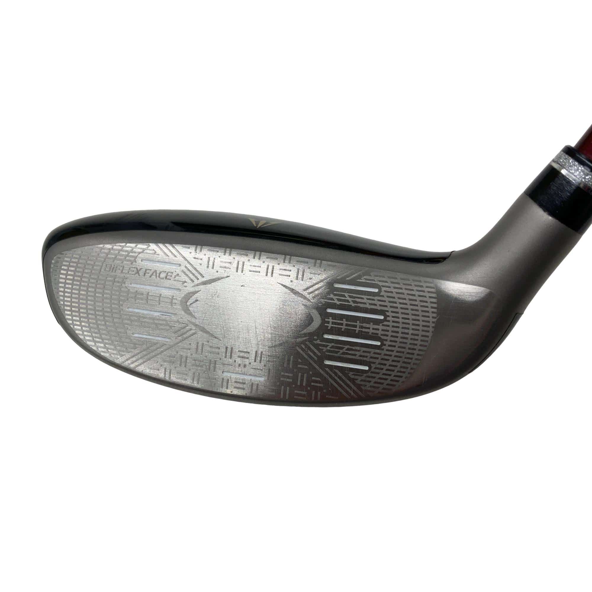 �w�w�h�n�@�o�q�h�l�d�i�Q�O�Q�T�j�@�g�S