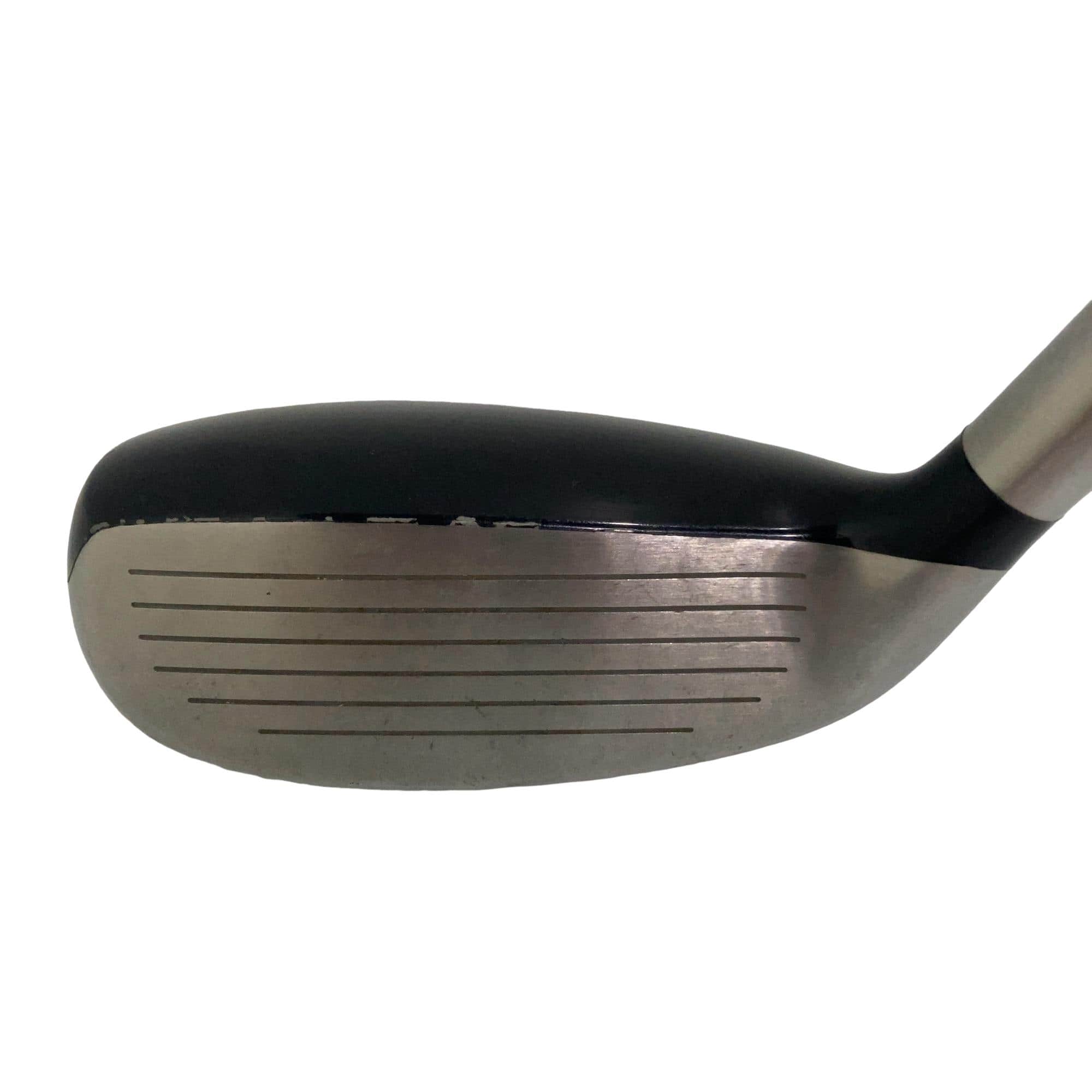 �s�n�t�q�r�s�`�f�d�@�w�|�t�s�@�S�t