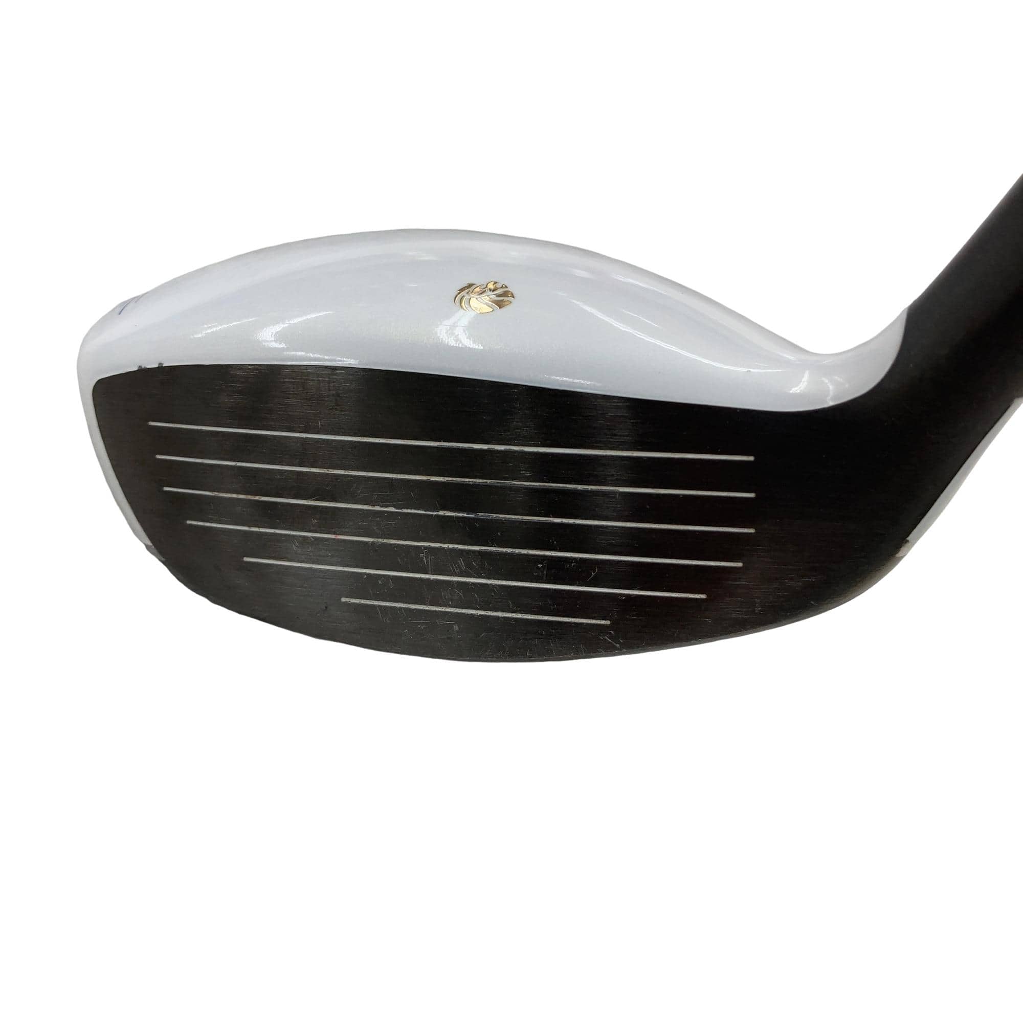 �f�k�n�h�q�d�@�e�@�t�U