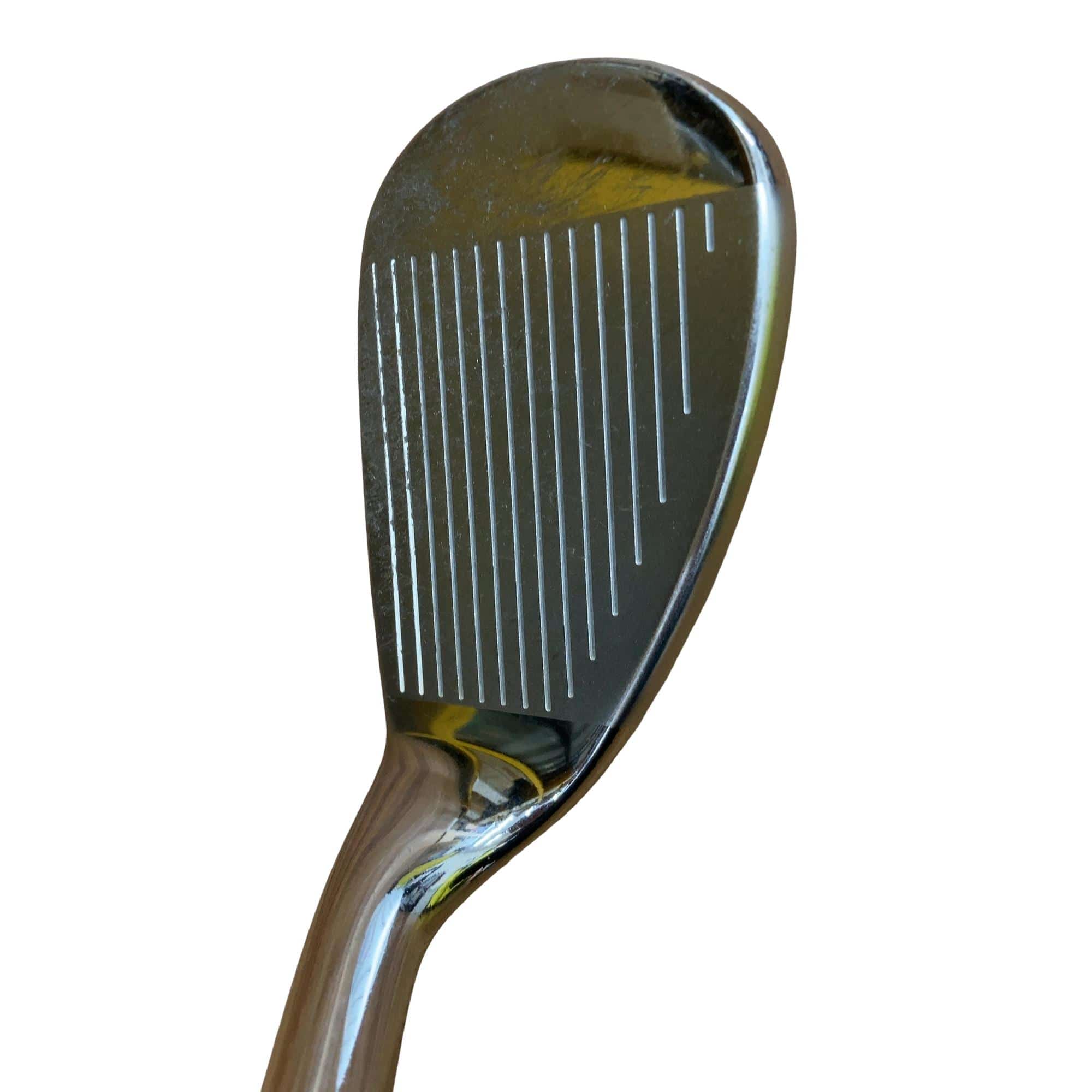 �������������@�t�c�{�Q�@�r�v�@���f�B�[�X