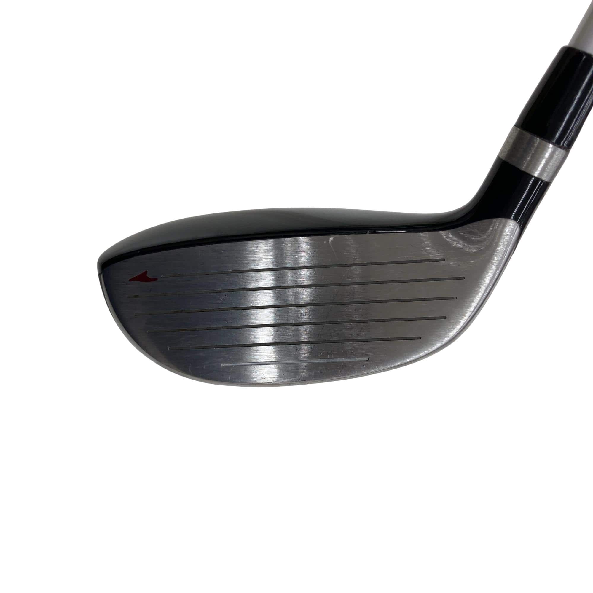 �s�������������@�o�����@�w�t�@�t�S