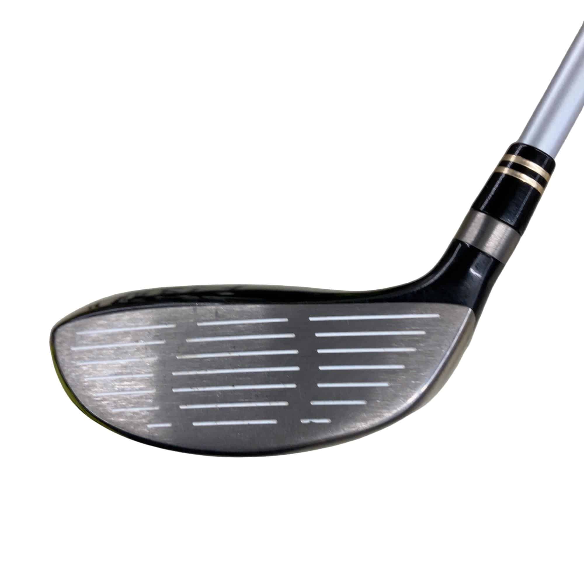 �q���������@�e�@�V���o�[�@�e�T