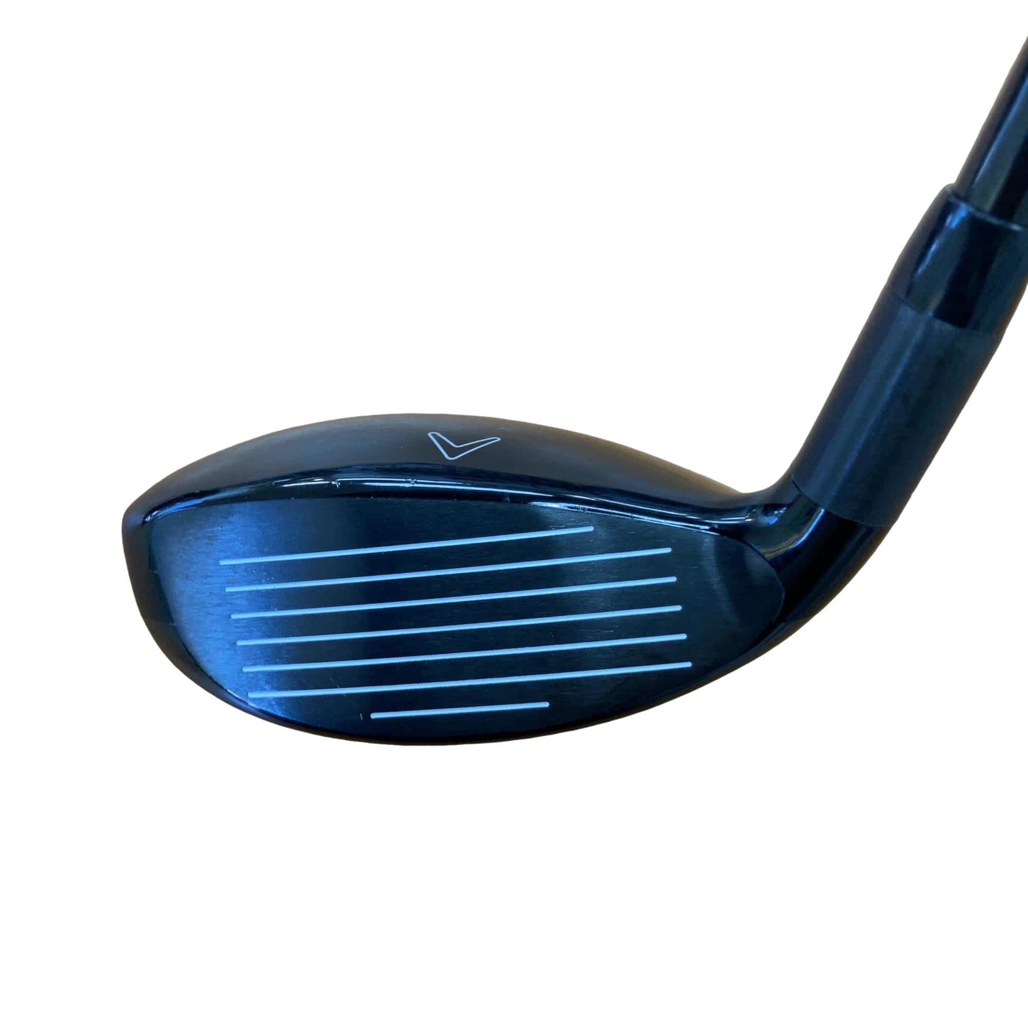 �w�Q�@�g�n�s�@�t�S