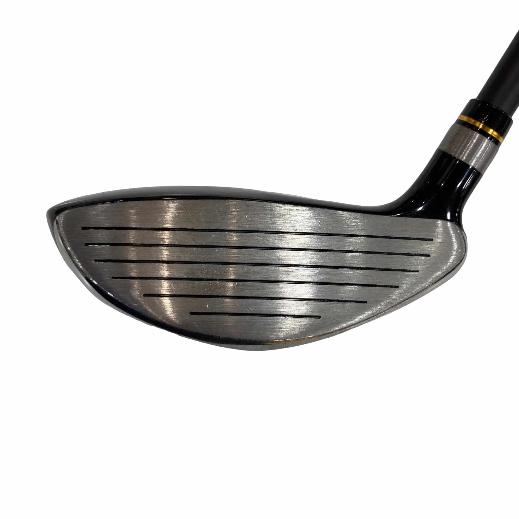 �j�Q�j�@���������O�X���[�e�B���e�B�@�t�T