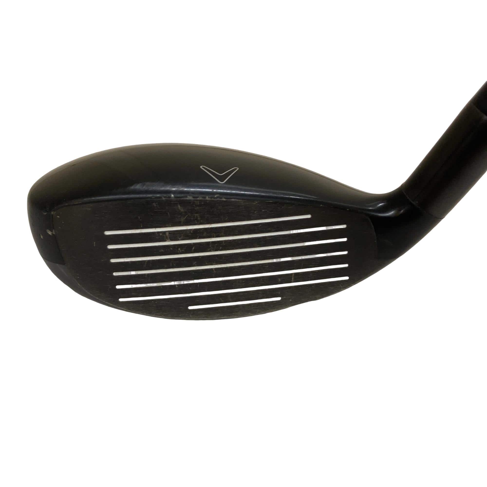 �w�Q�@�g�n�s�@�t�R