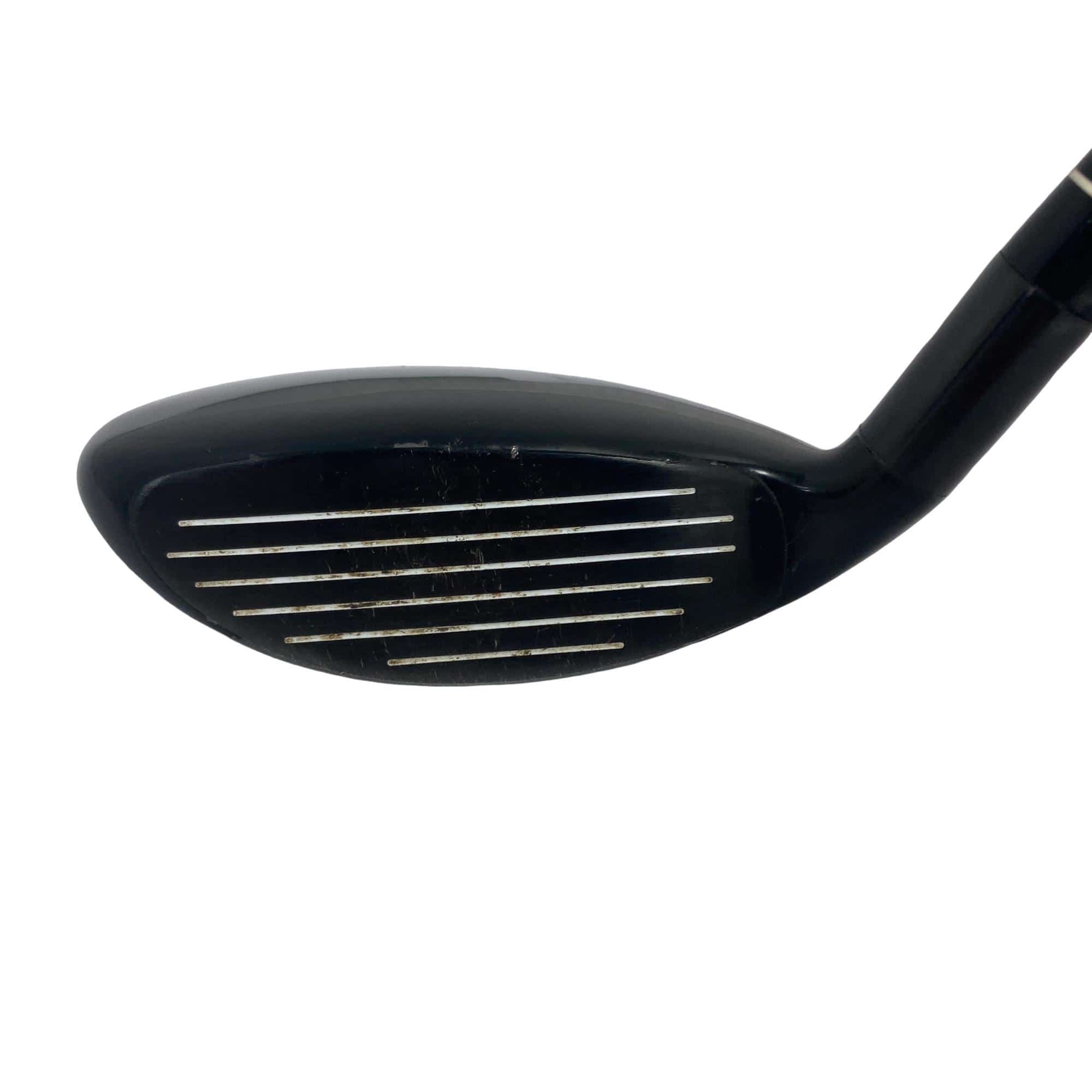 �w�@�g�n�s�@�t�S