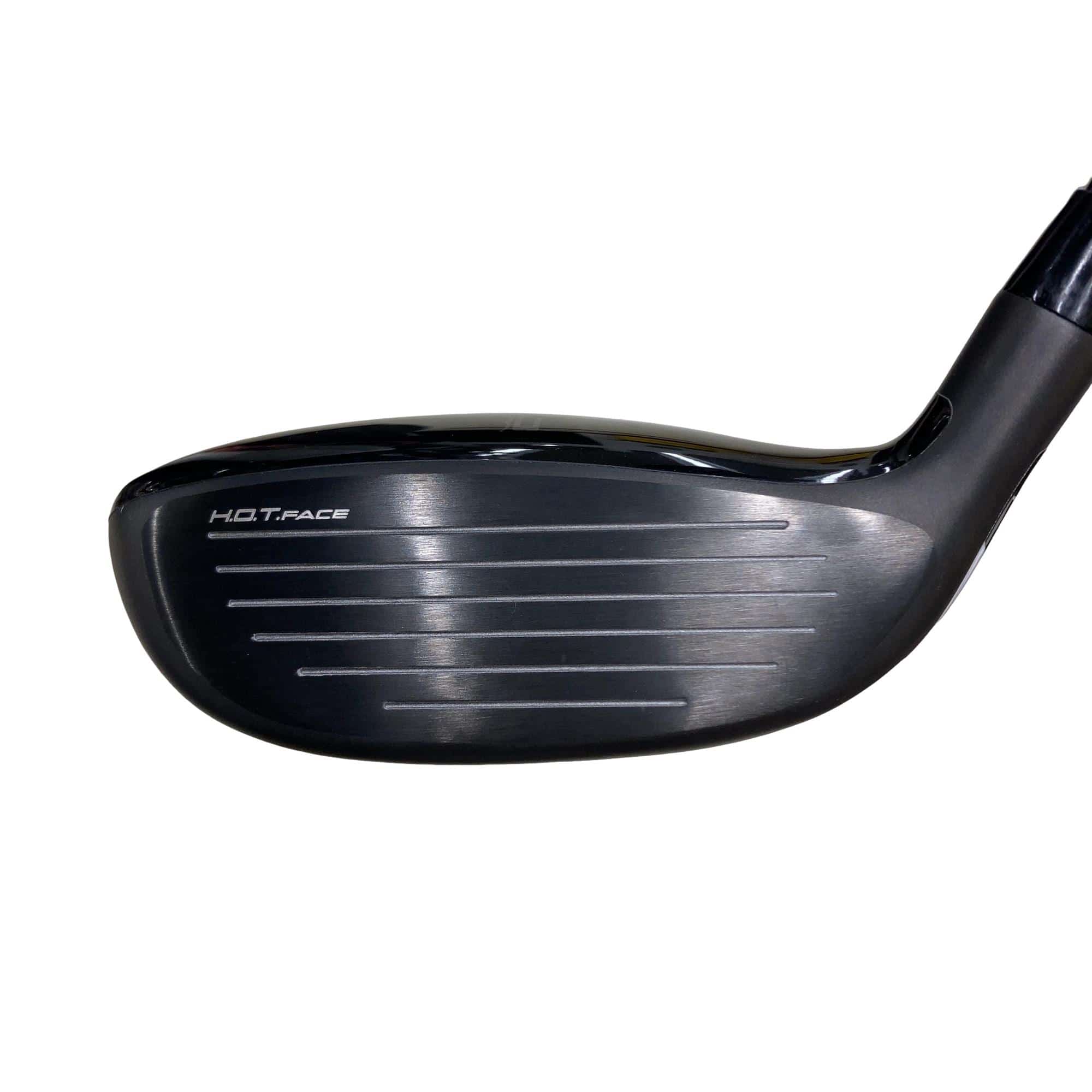 �����������@�`�d�q�n�i�d�s�@�t�R