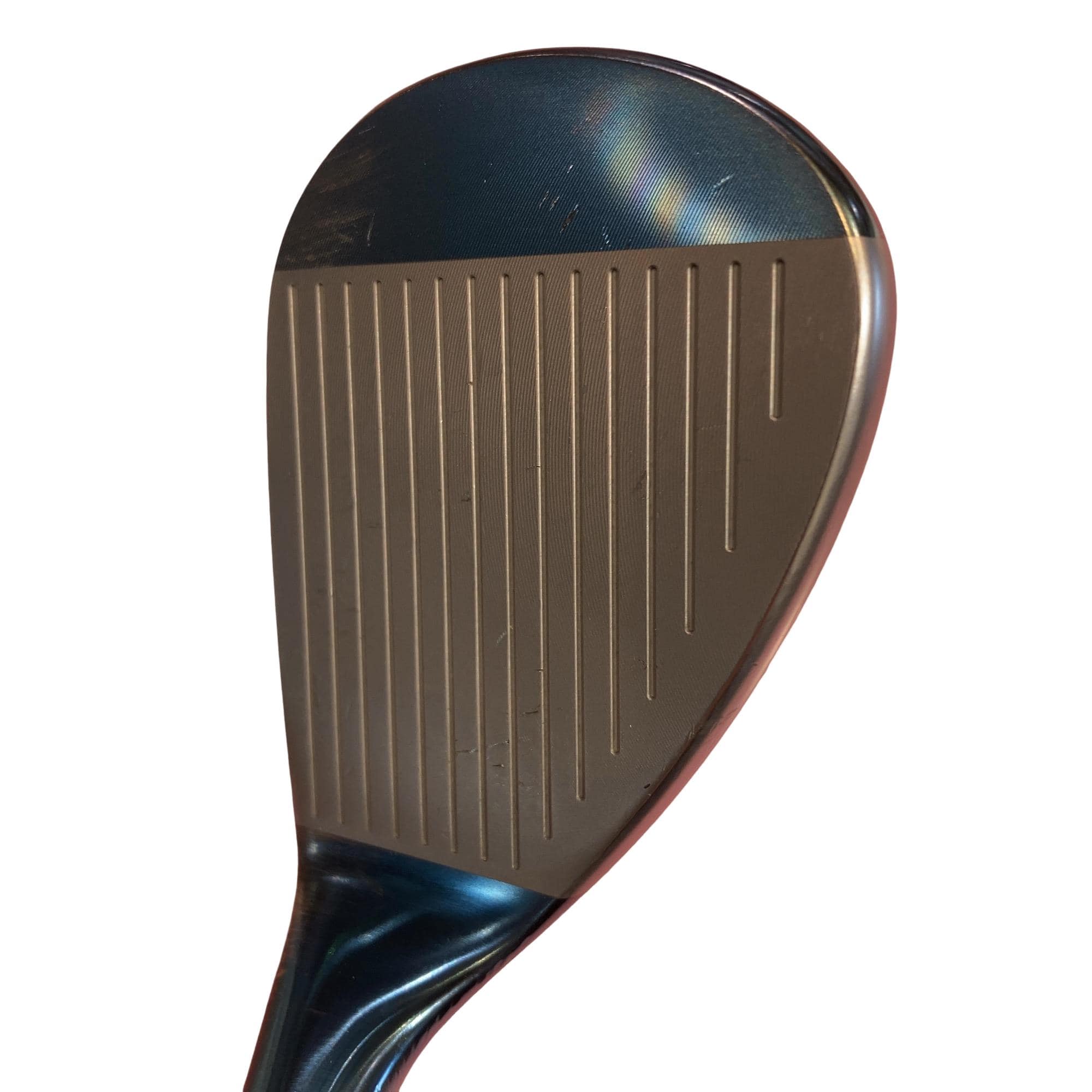 �l�����������@�o�����@�r�P�W�i�u���[�j�@�U�O°�^�P�O°