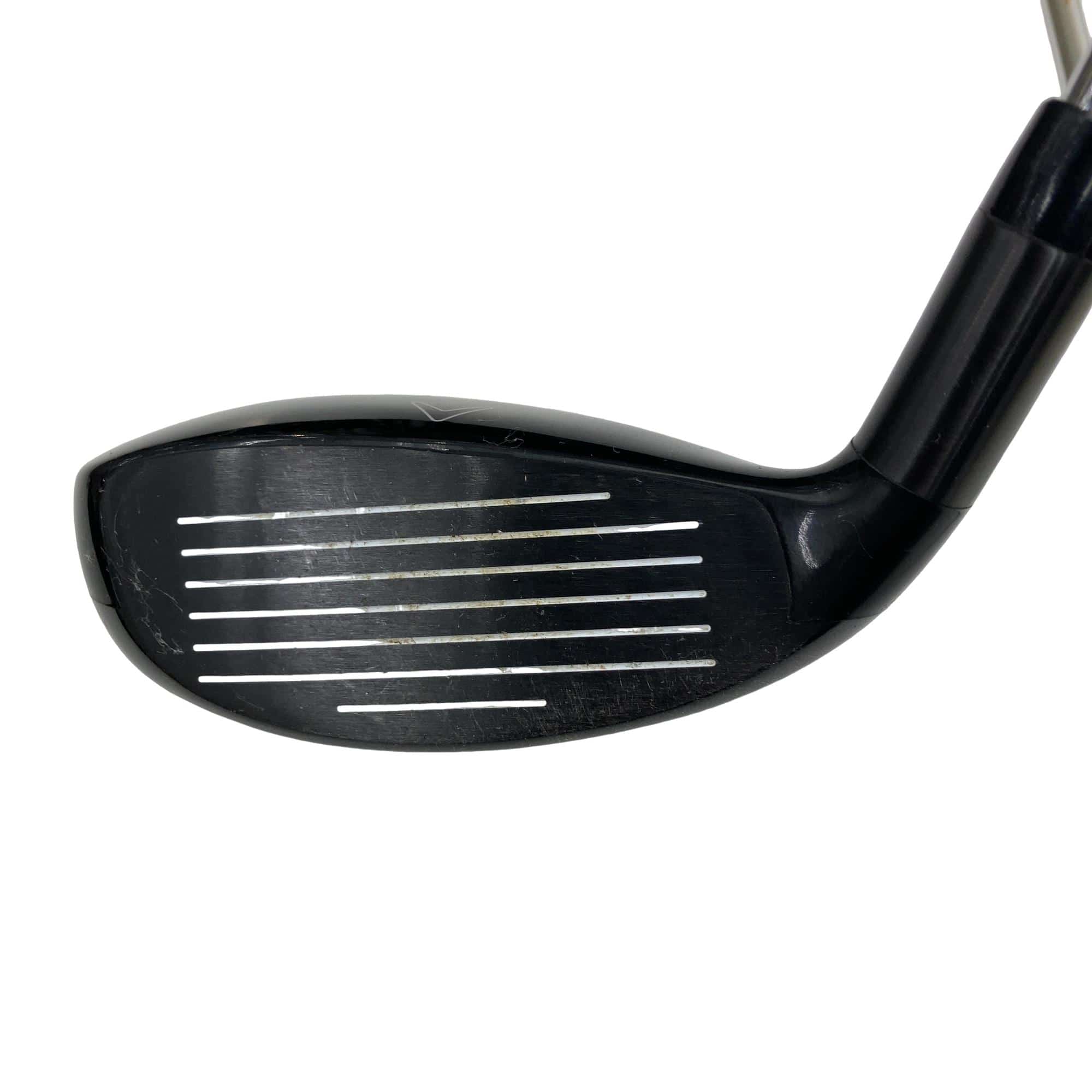 �w�Q�@�g�n�s�@�t�R