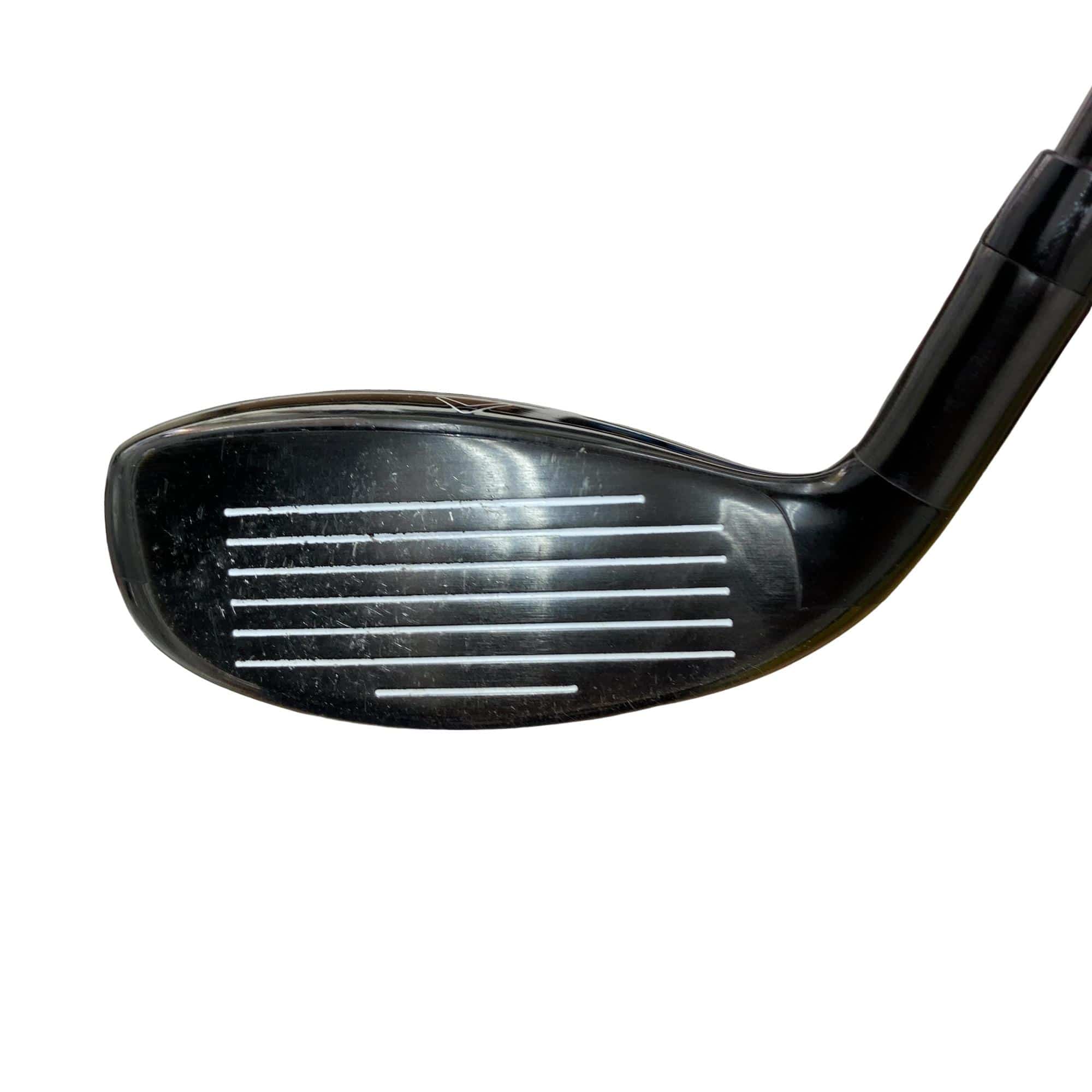 �w�Q�@�g�n�s�@�t�T