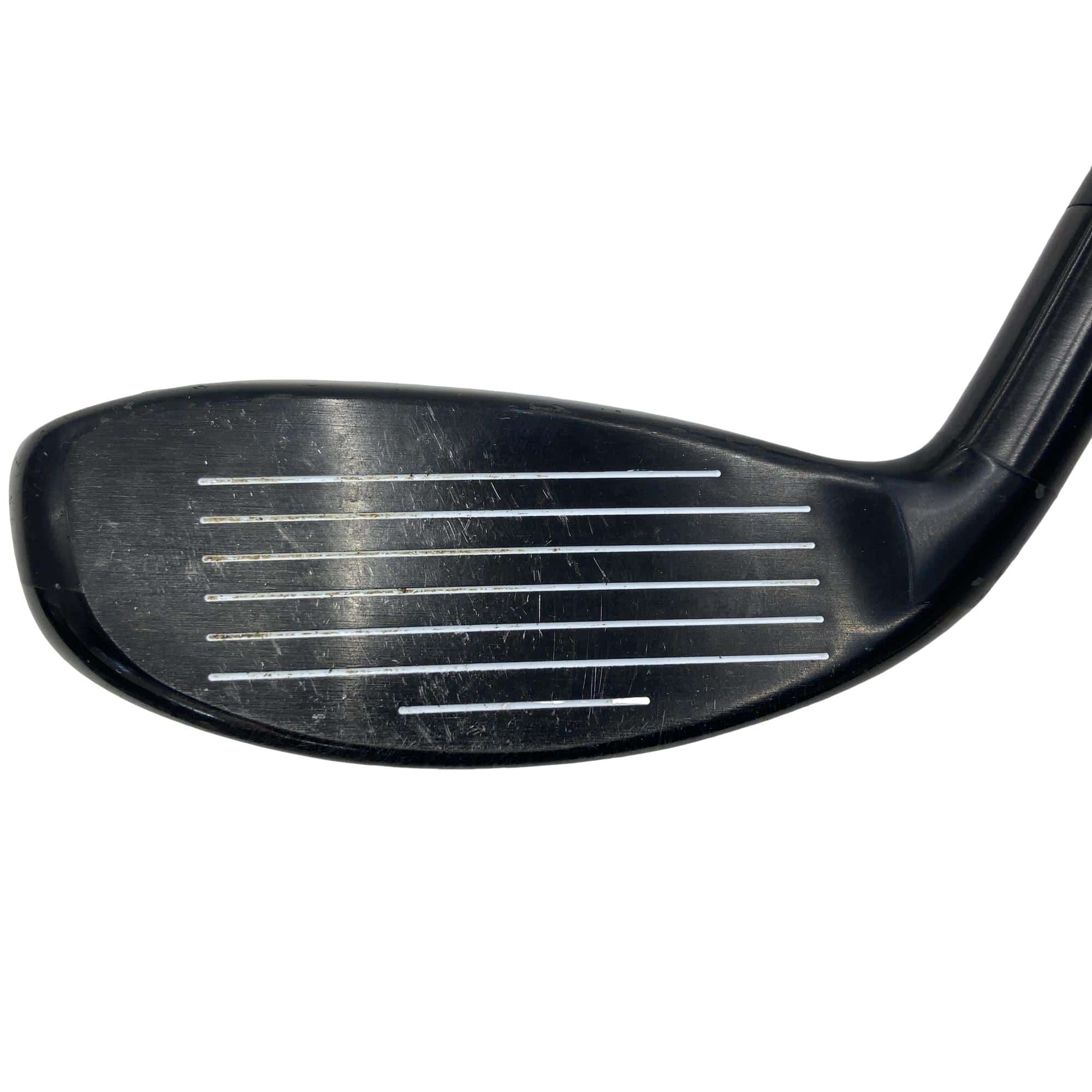 �w�Q�@�g�n�s�@�t�R