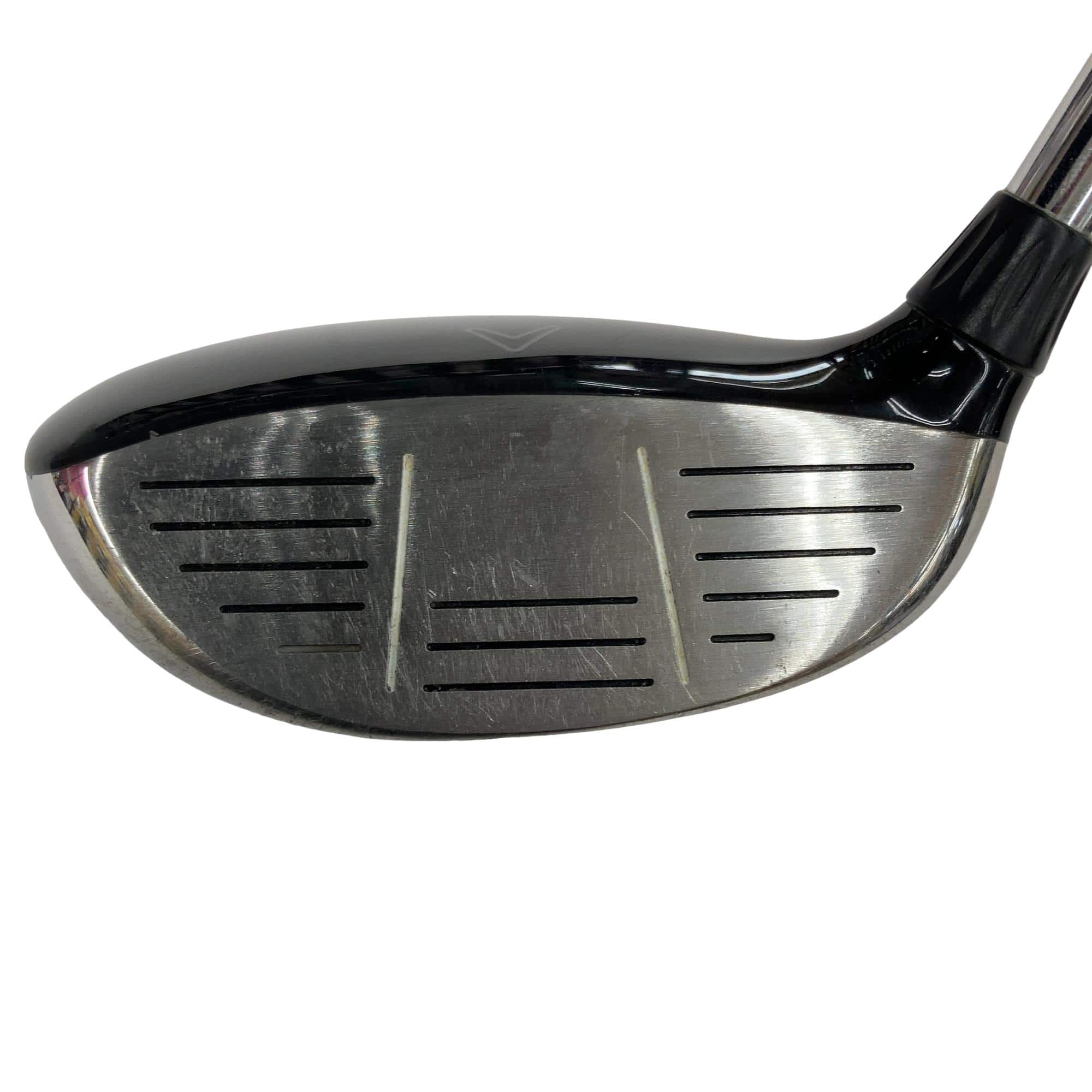 �w�@�c�q�r�@���[�e�B���e�B�@�R�g�i�Q�P°�j