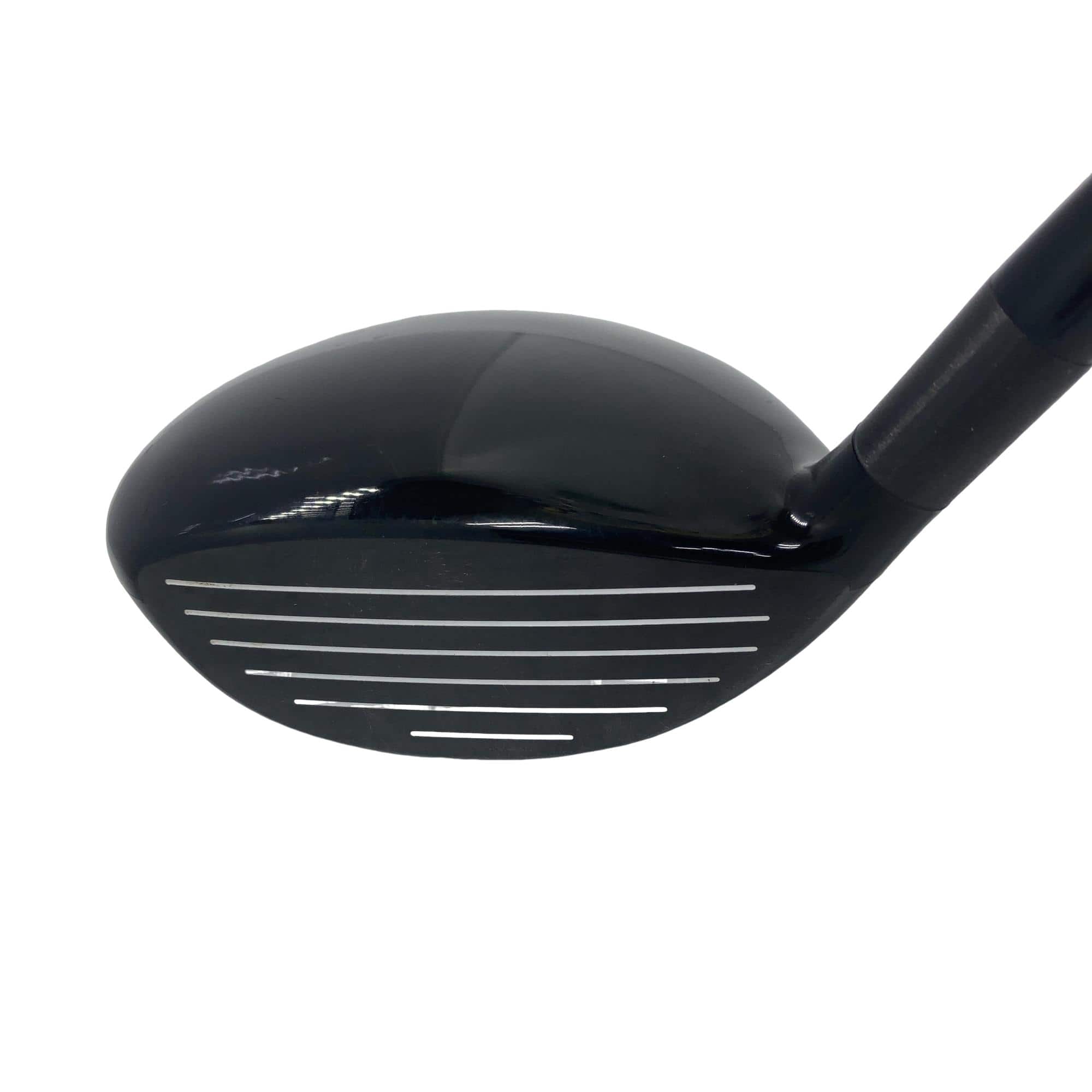 �w�Q�@�g�n�s�@�o�q�n�@�P�T°