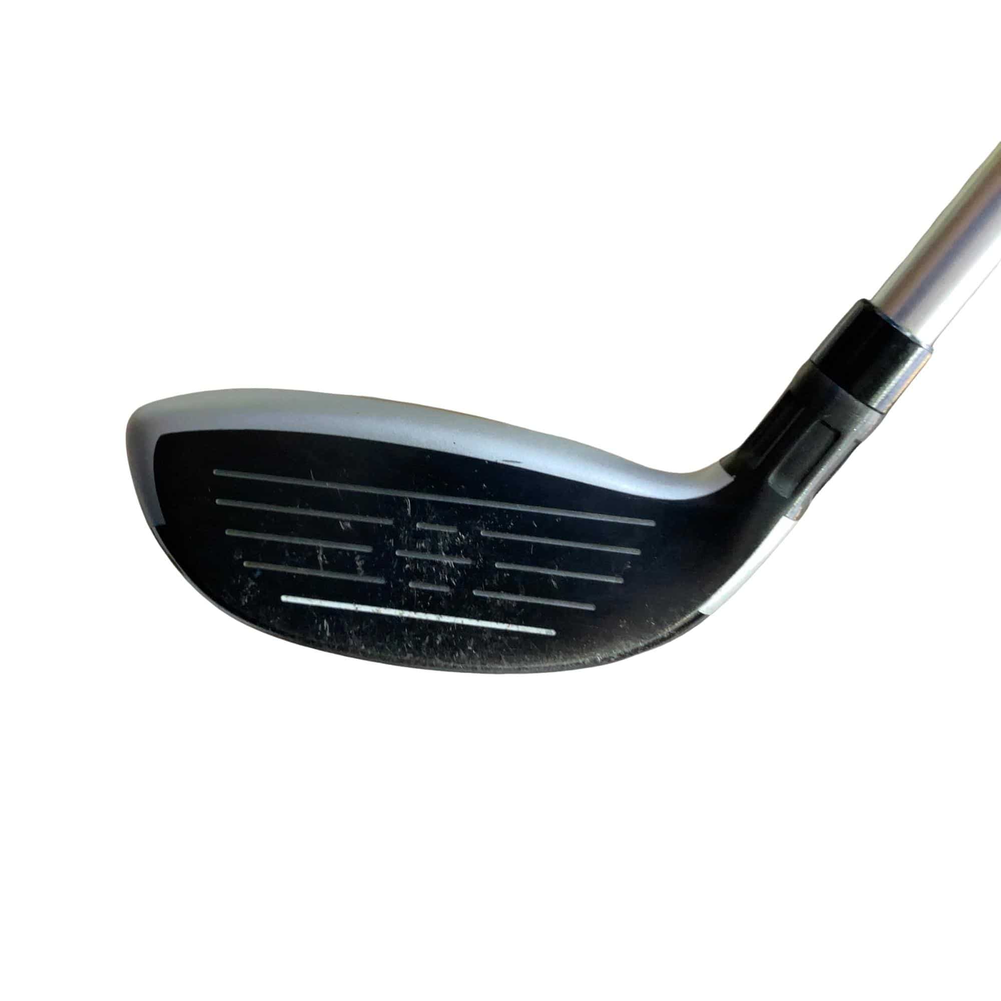 �l�S�@�t�S�@���f�B�[�X�@�t�r�`