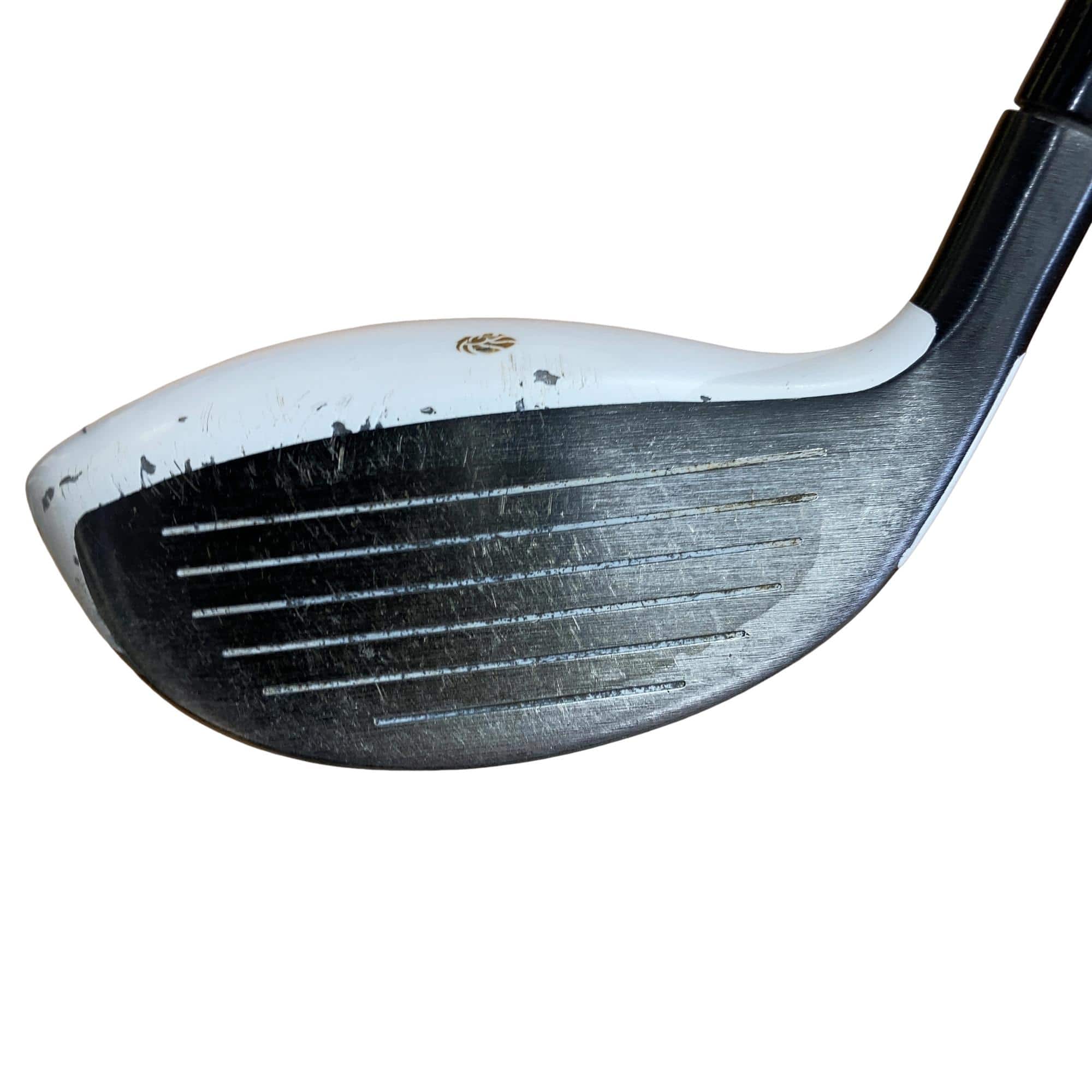 �f�k�n�h�q�d�@�e�i�Q�O�P�U�j�@�T�v