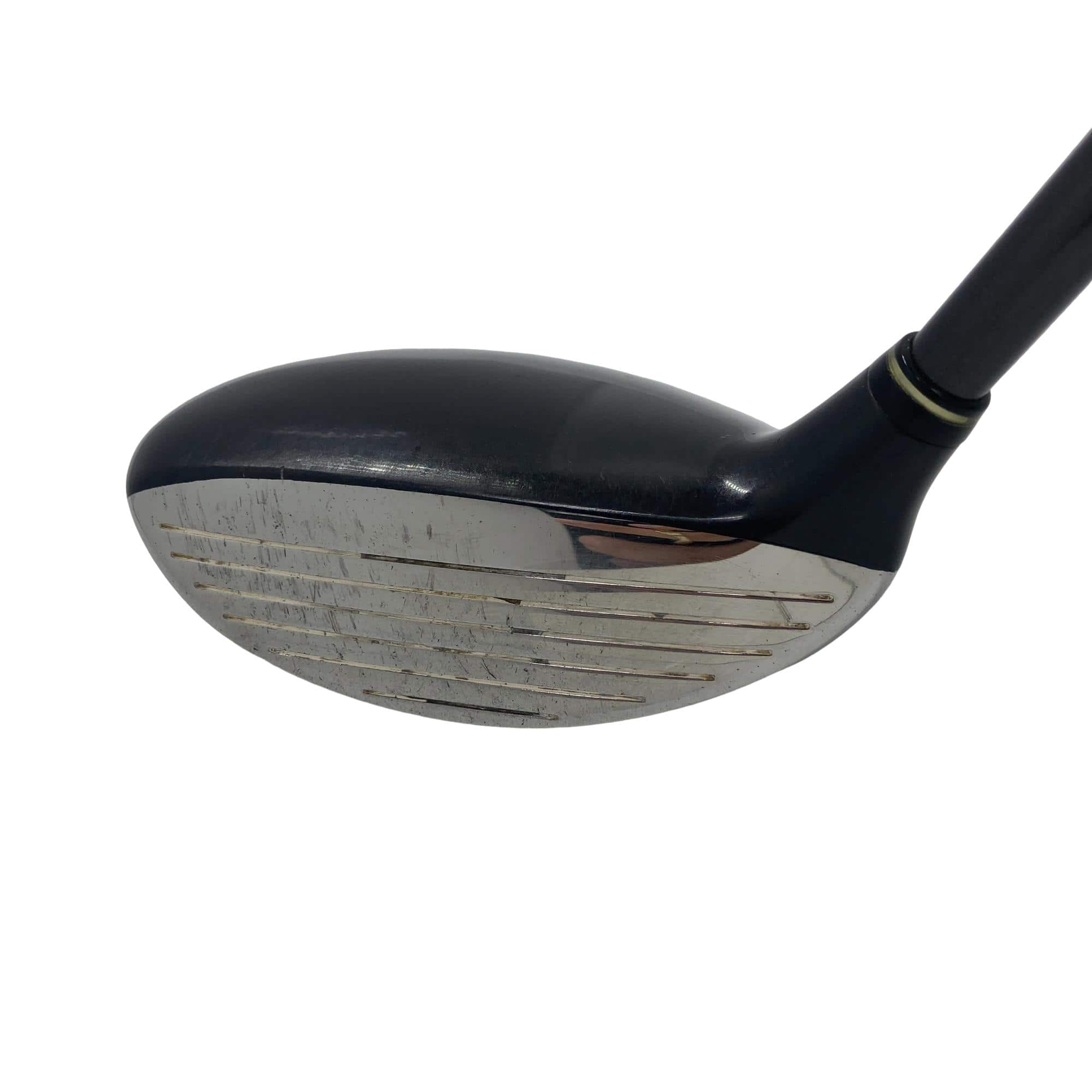 �o�n�v�d�q�@�s�n�q�m�`�c�n�@�d�|�r�������@�T�T