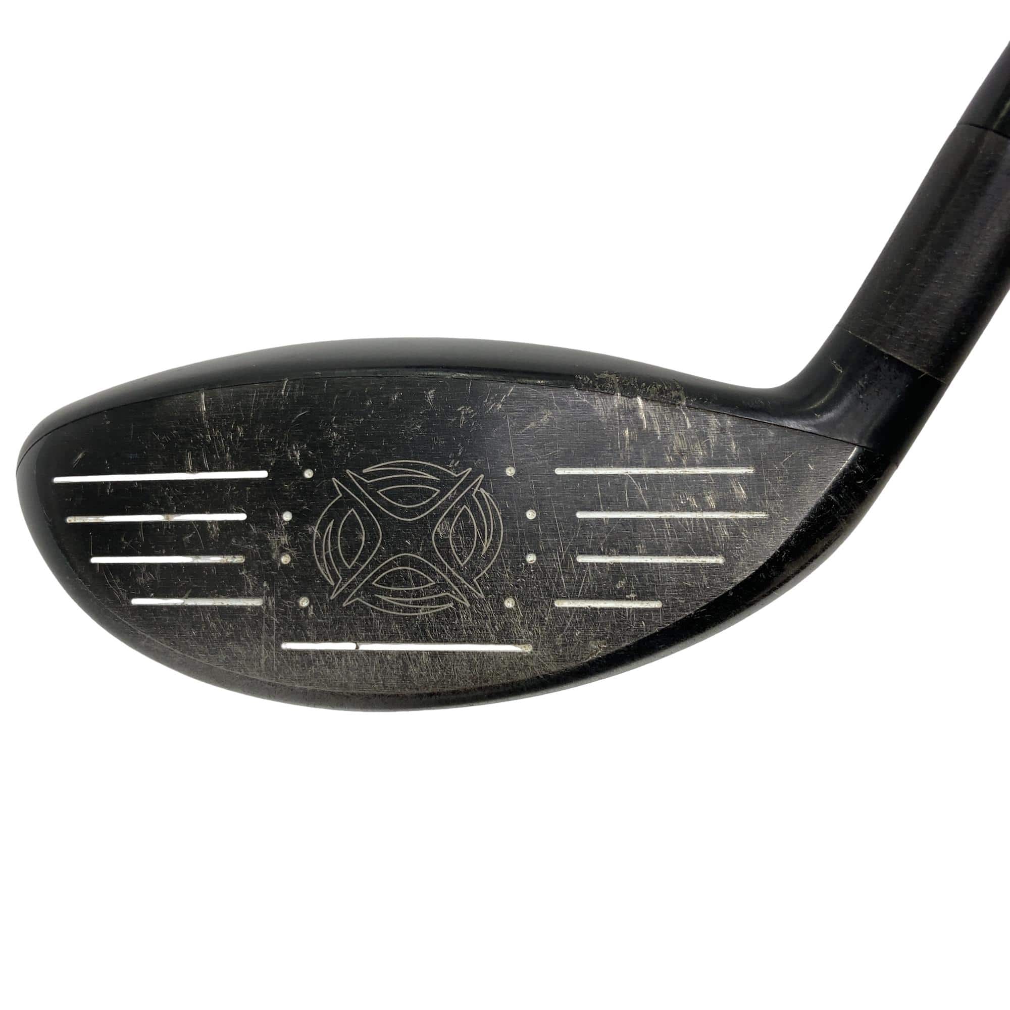 �w�@�g�n�s�@�@�T�v