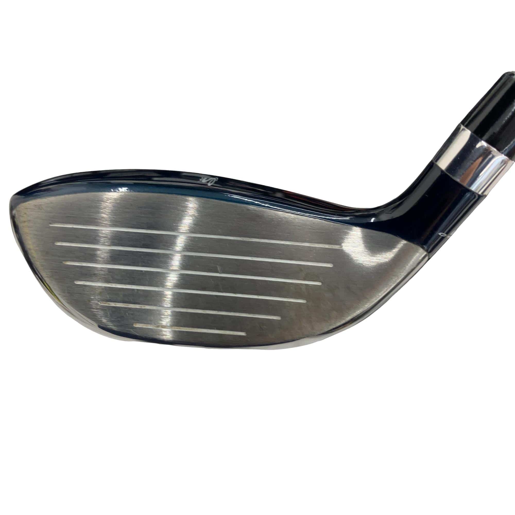 �a�������������@�w�k�@�T�g�@�t�r�`