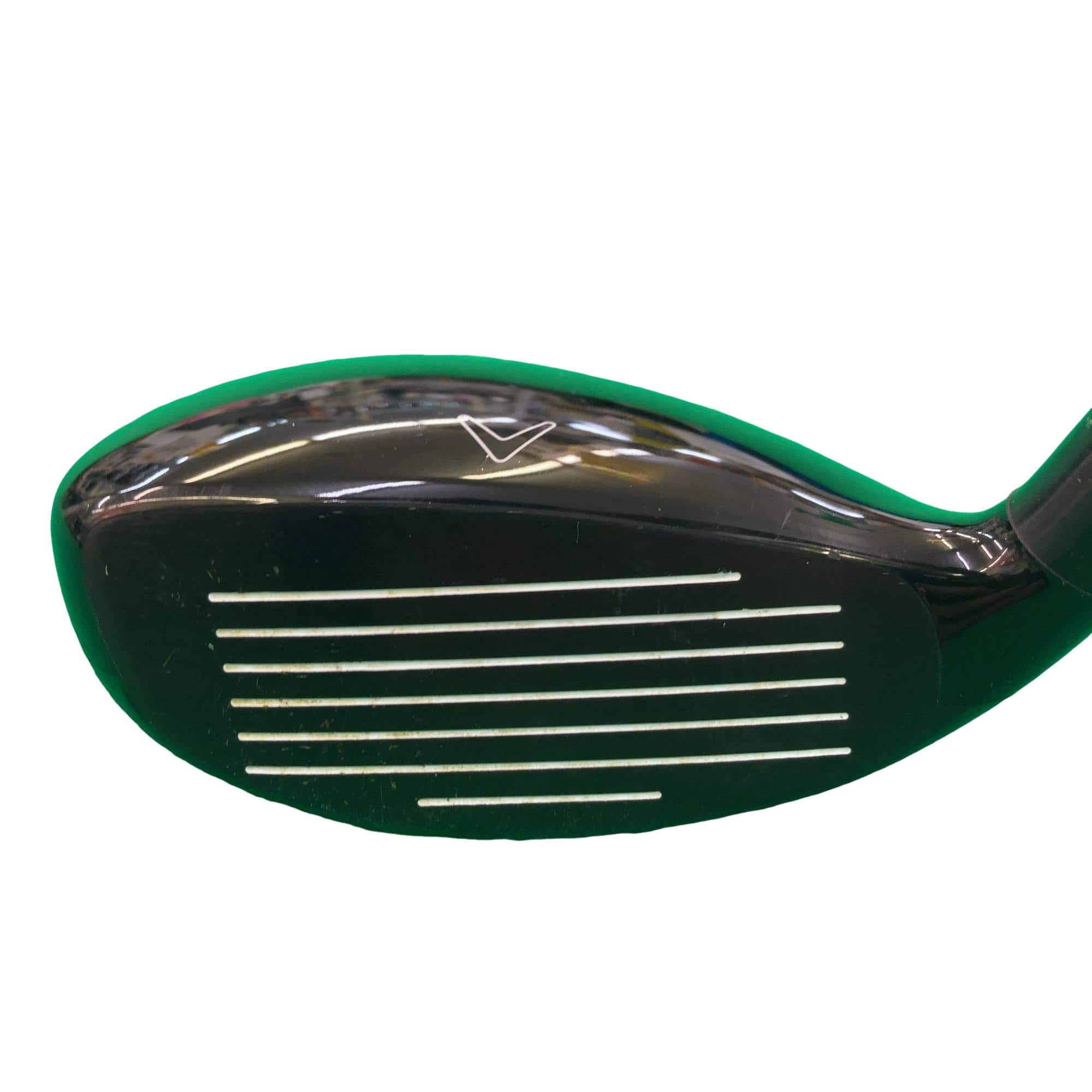 �w�Q�@�g�n�s�@�t�T