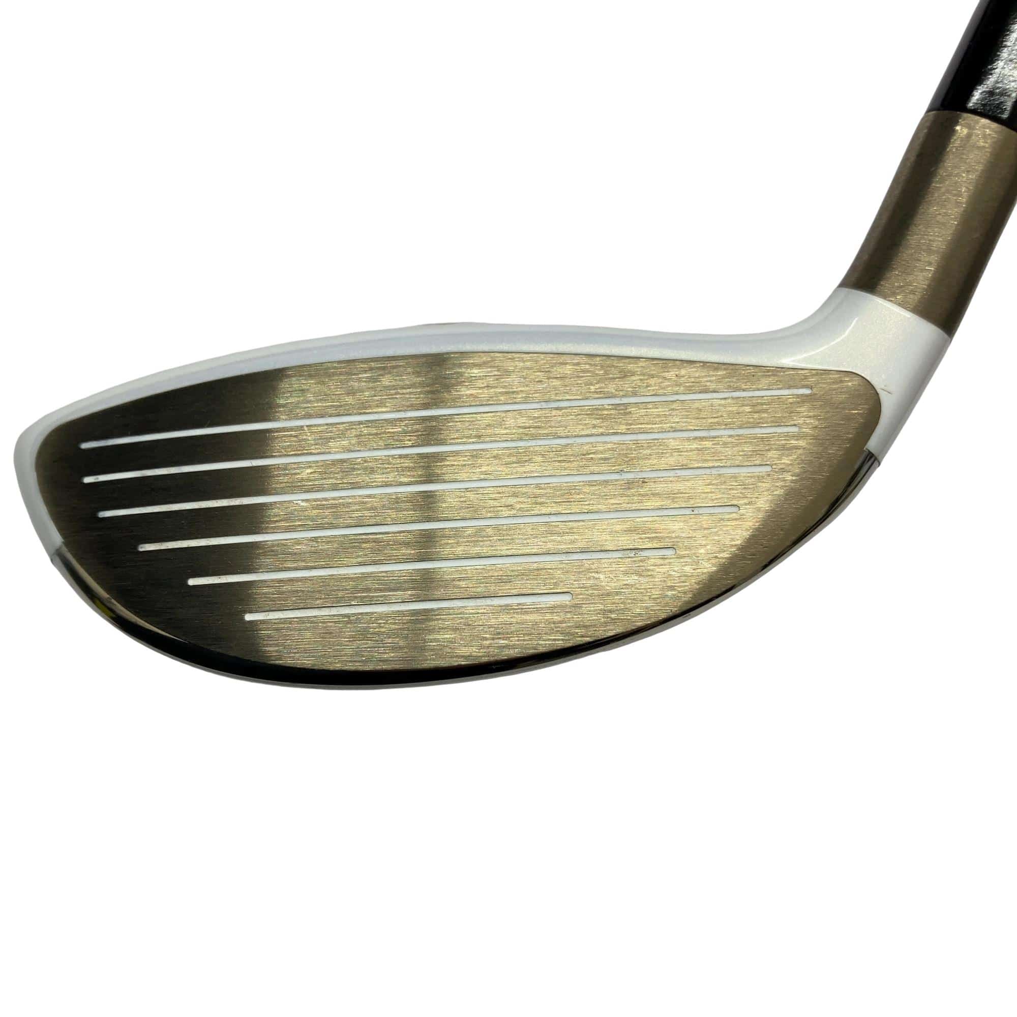 �f�k�n�h�q�d�@�e�@�T�v�@���f�B�[�X