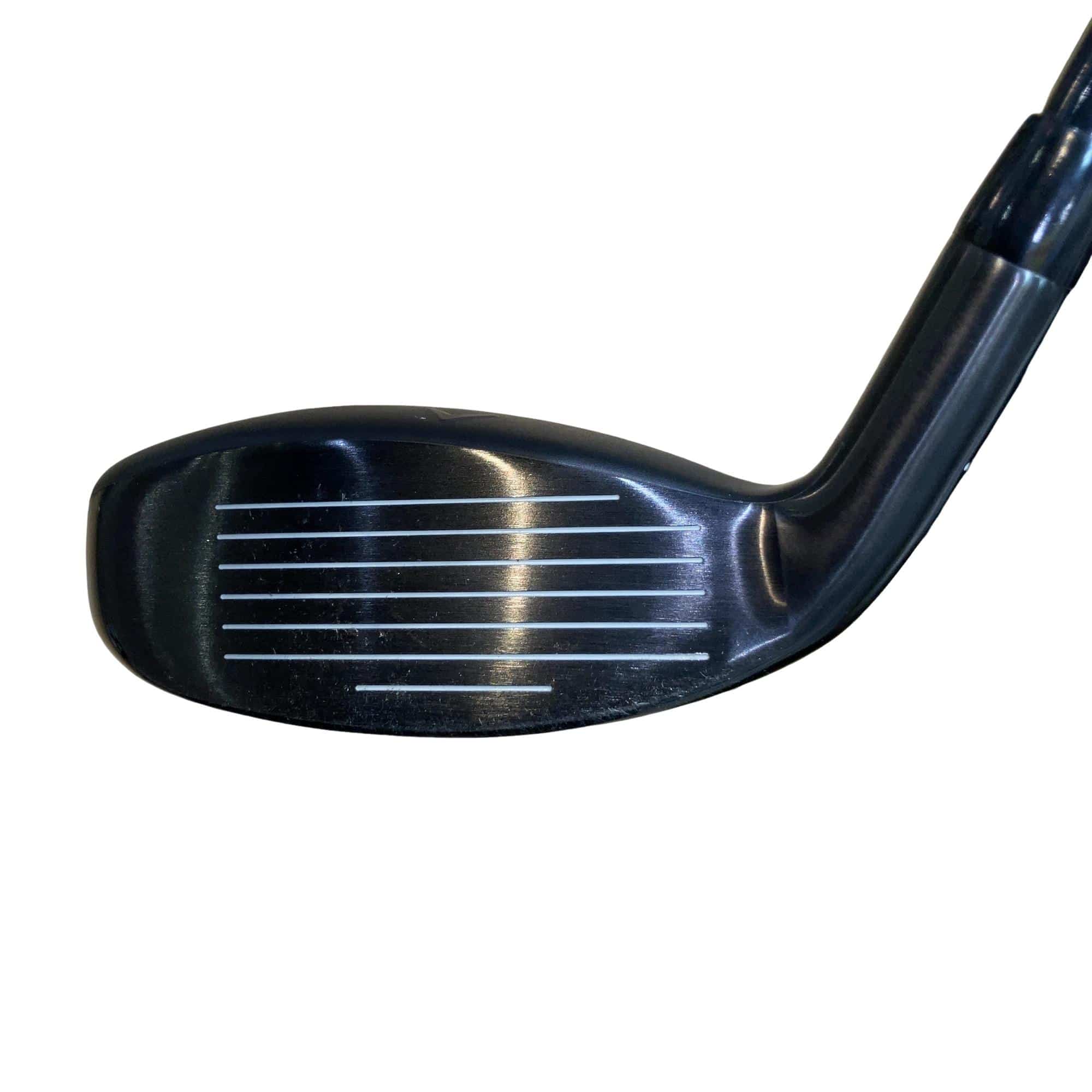 �w�q�@�P�U�@�n�r�@�t�R